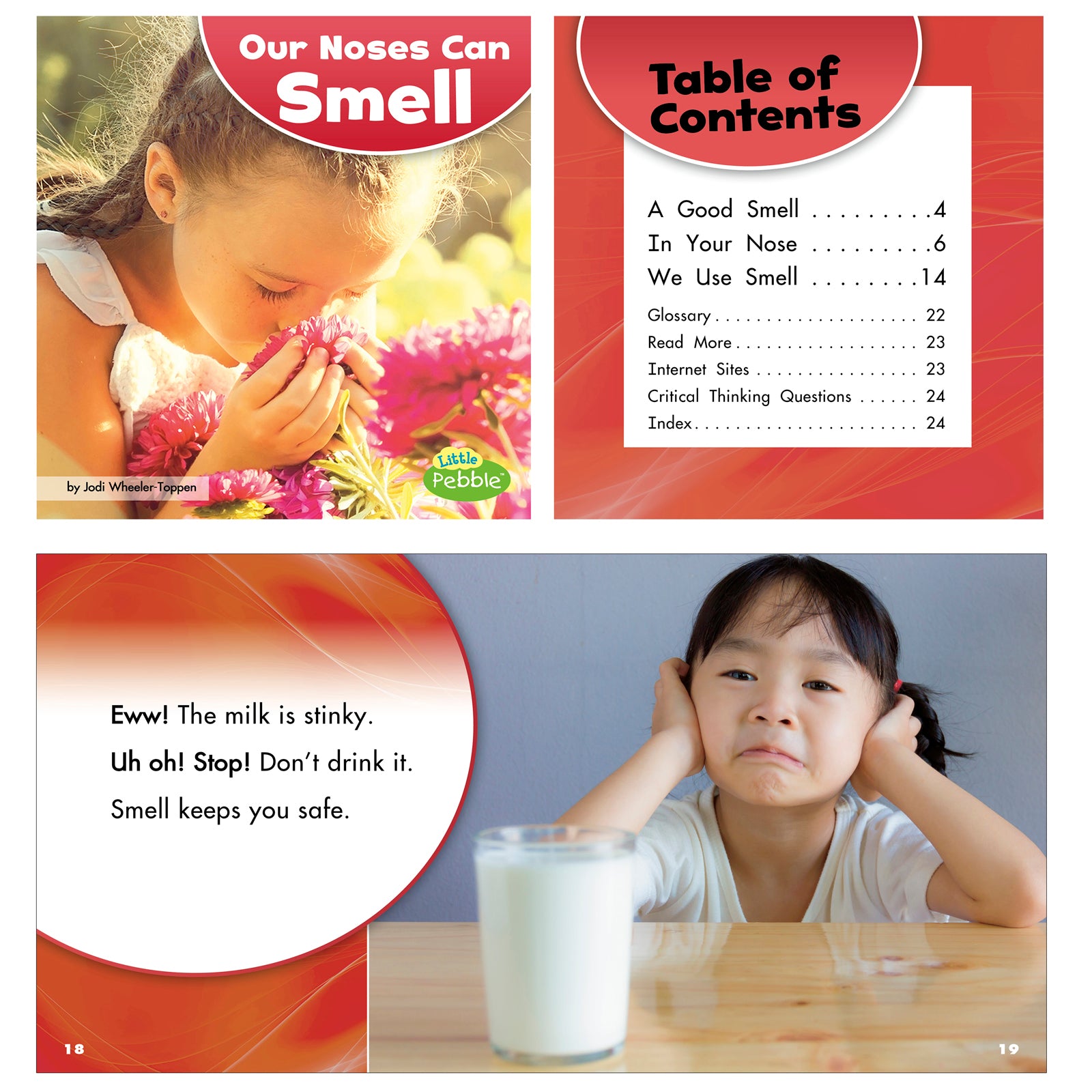 Our Amazing Senses, Set of 5 books