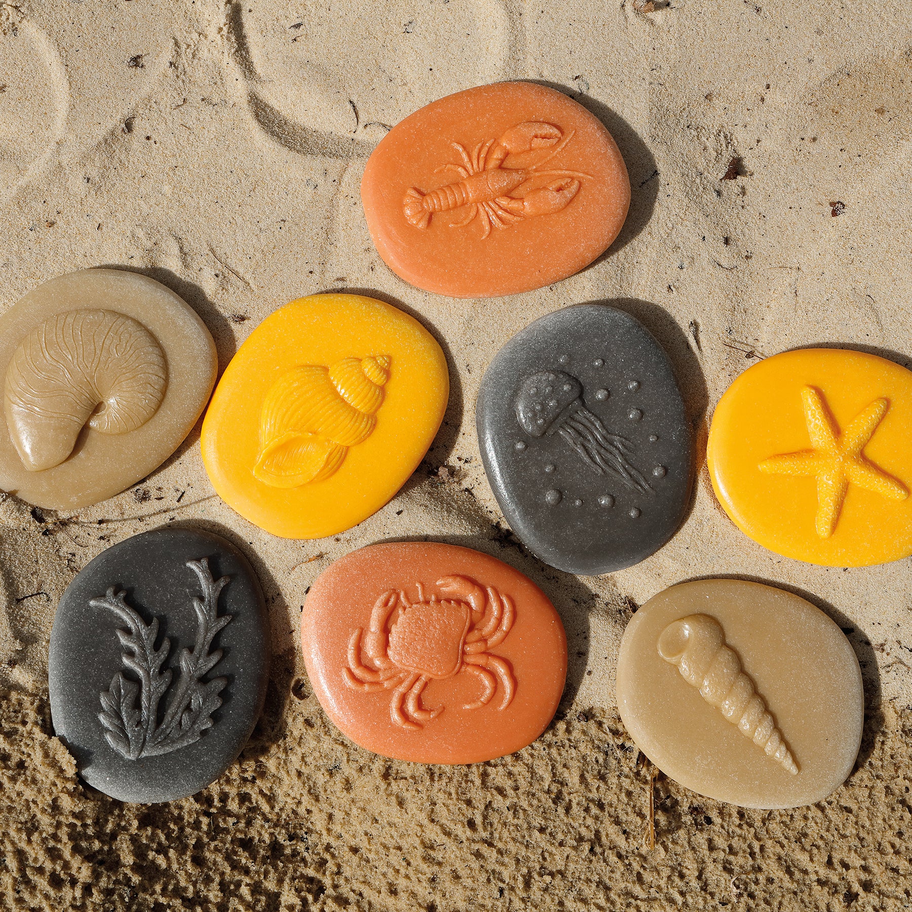 Let's Investigate – Seashore, Set of 8 Stone Figures