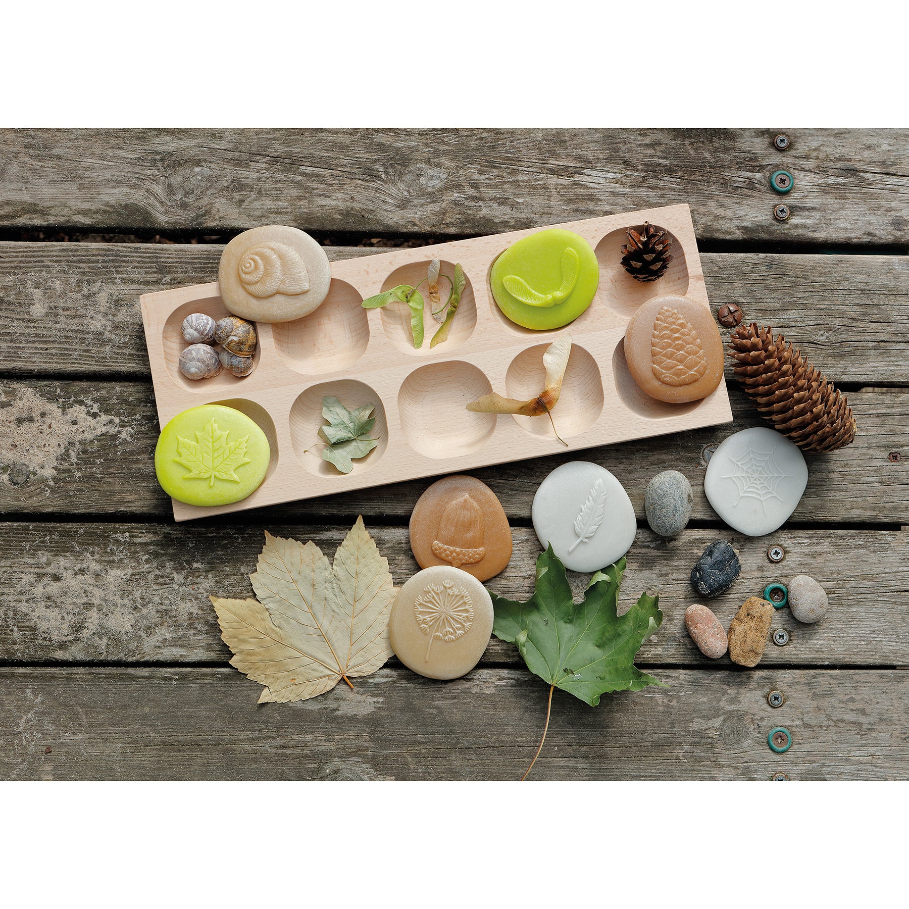 Let's Investigate – Nature, Set of 8 Stone Figures