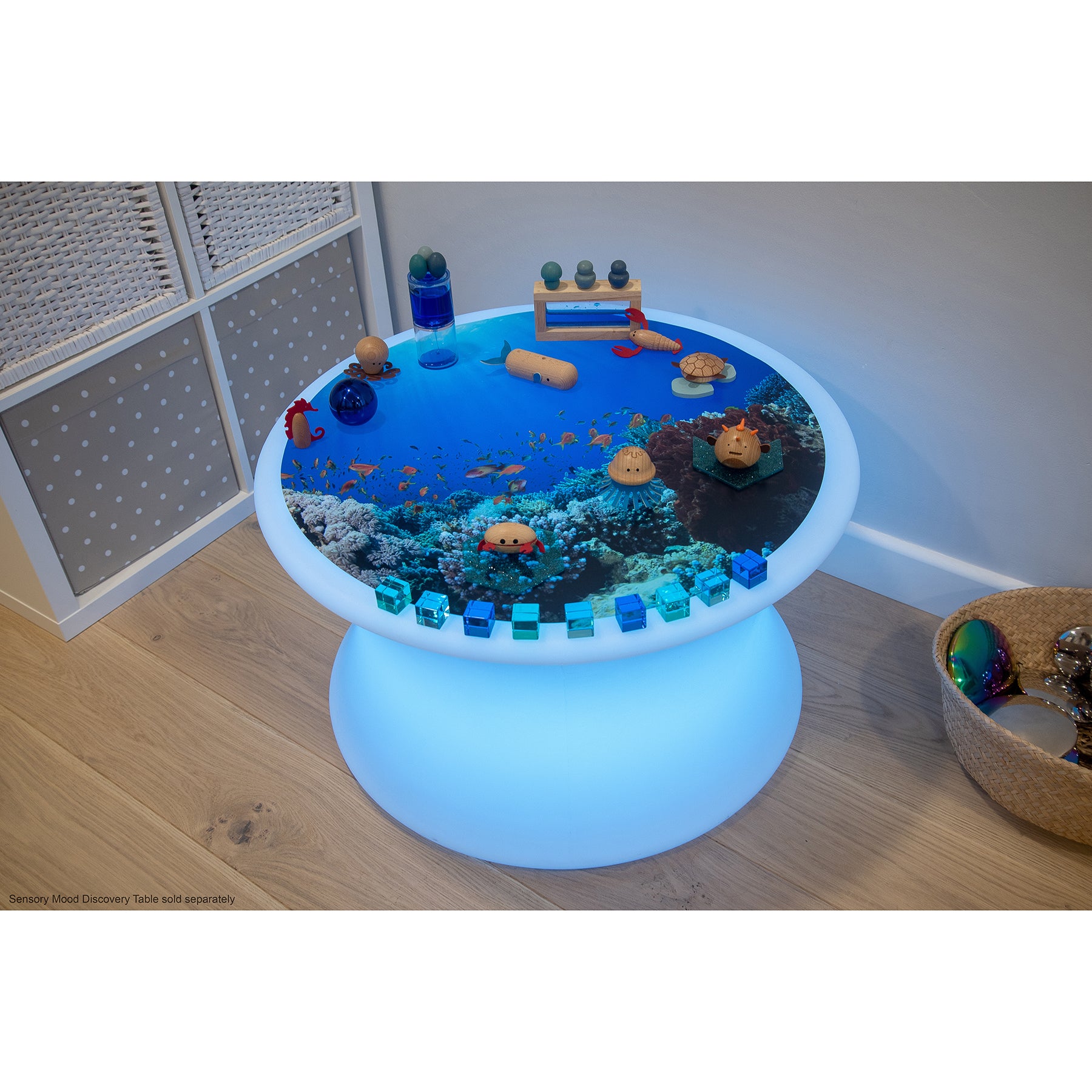 Under the Sea Discovery Play Mat