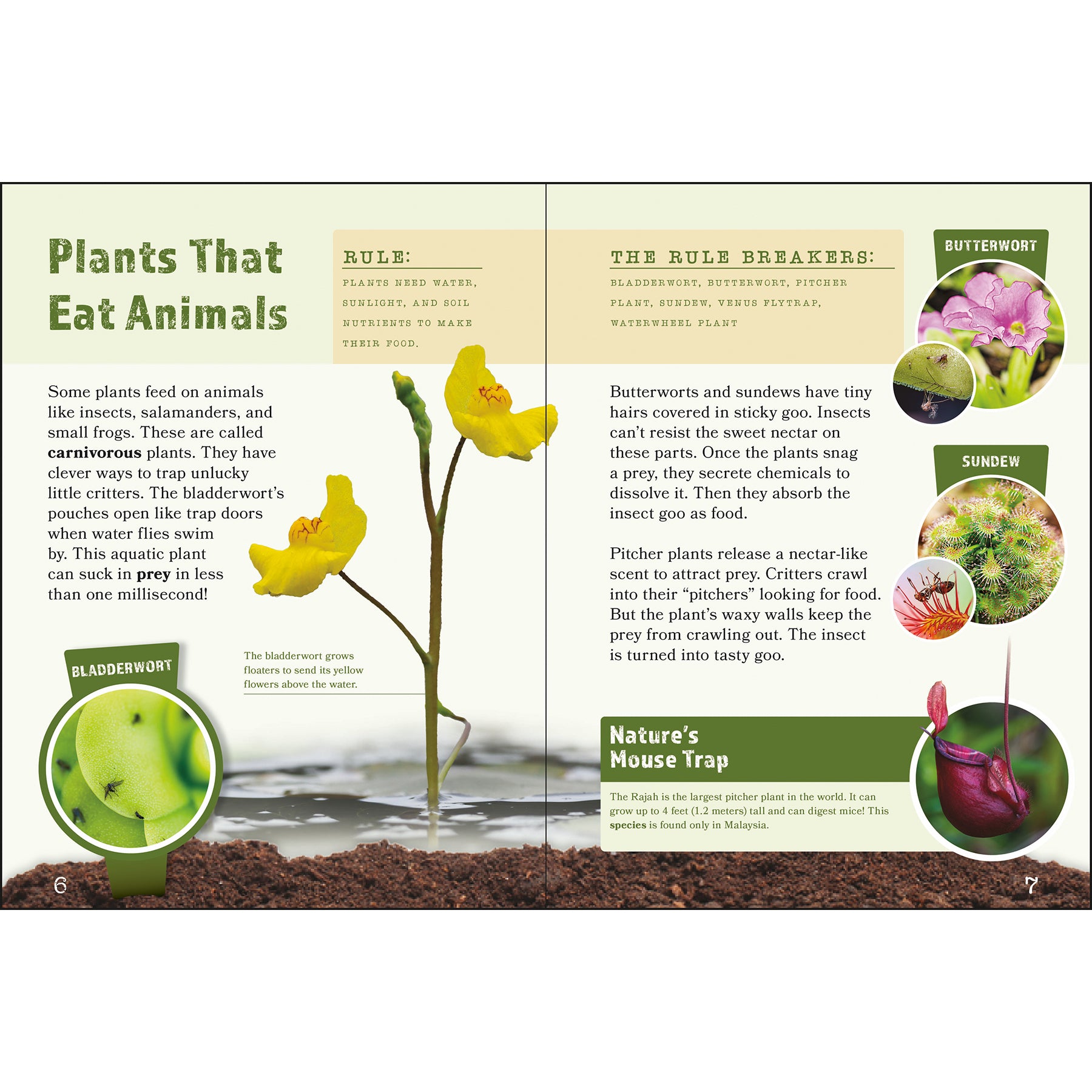 Plants That Break the Rules