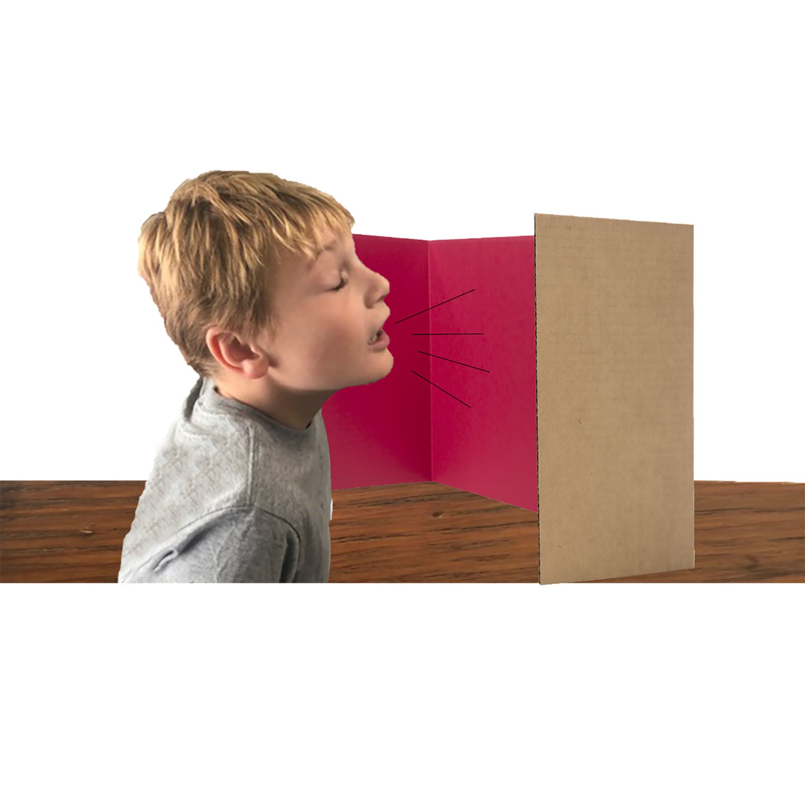 Corrugated Privacy Shield, 18" x 48", Assorted Colors, Pack of 24