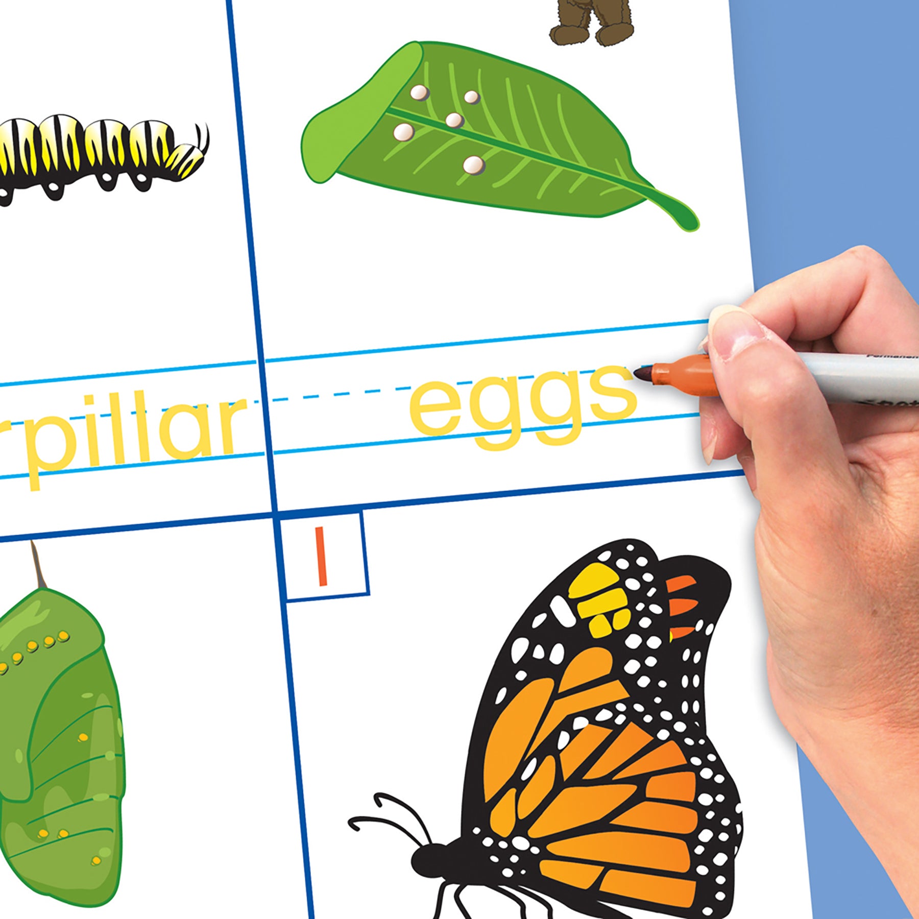 Early Childhood Science Readiness Flip Charts, All About Animals