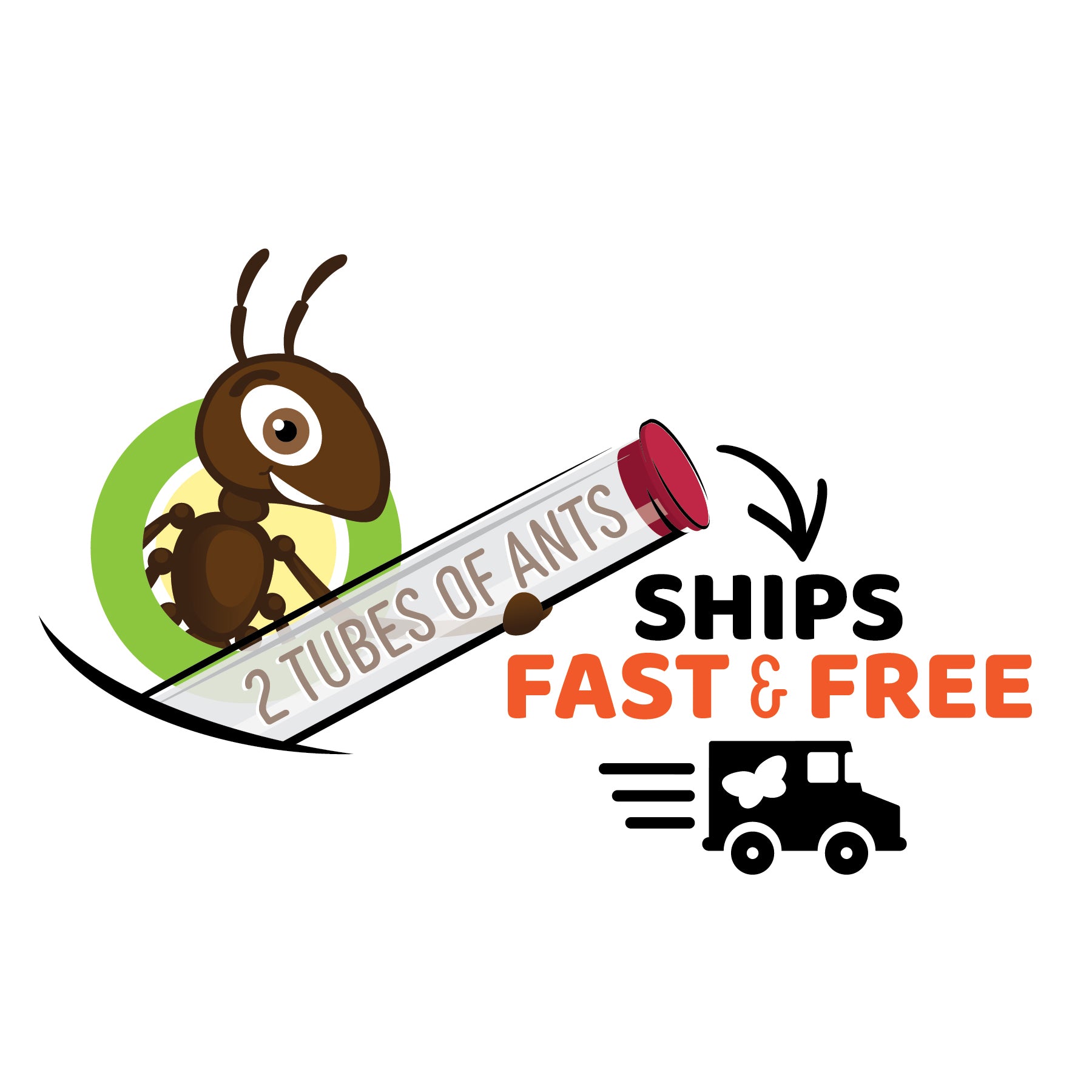 Ant Hill with Prepaid Voucher