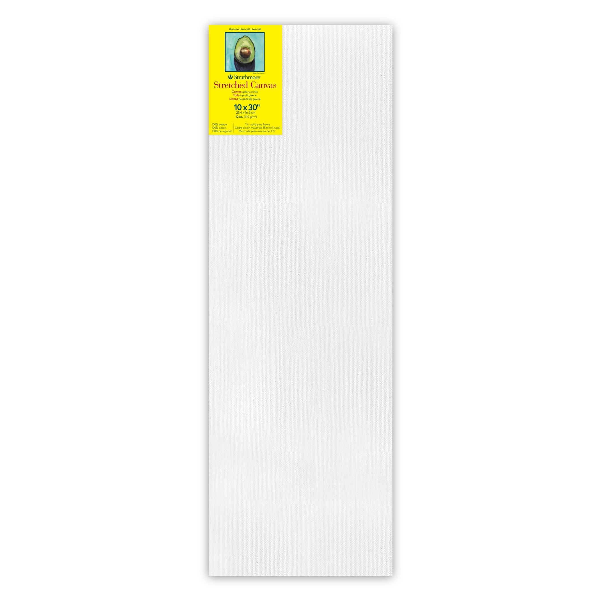 300 Series Gallery Stretched Canvas, 10x30 inch