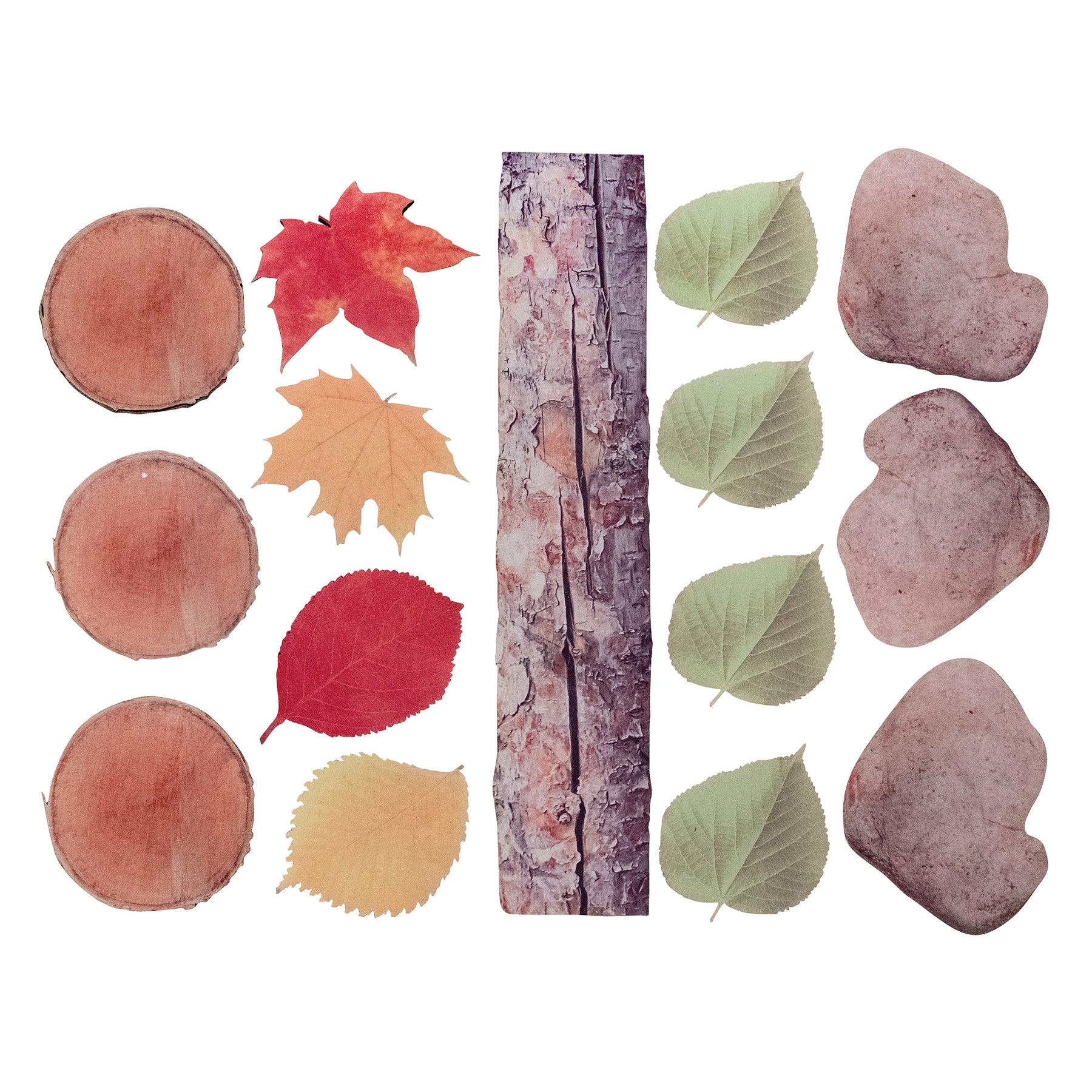 Nature's Footsteps - Set of 15 Nature-Inspired Rubber Mats - Ages 3+