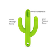 Cactus Toothbrush Teether
