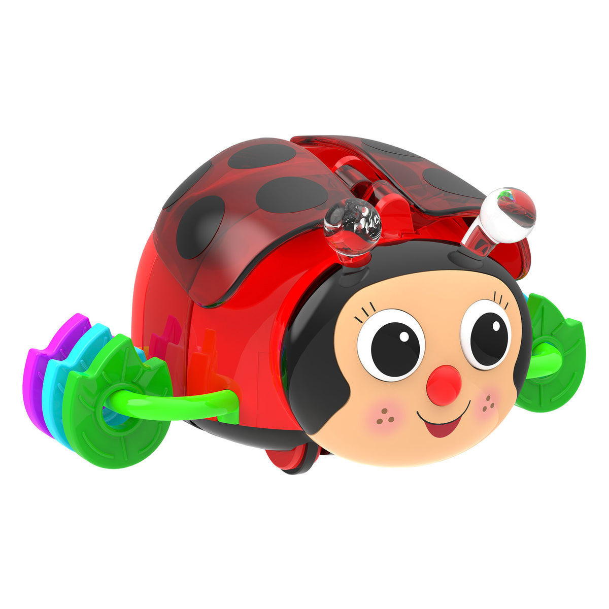 CRAWL ABOUT - LADYBUG