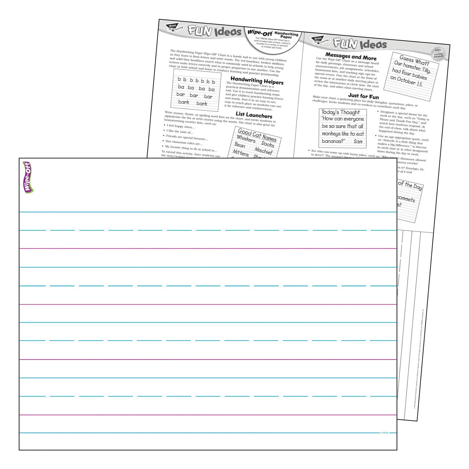 Handwriting Paper Wipe-Off® Chart, 17" x 22"