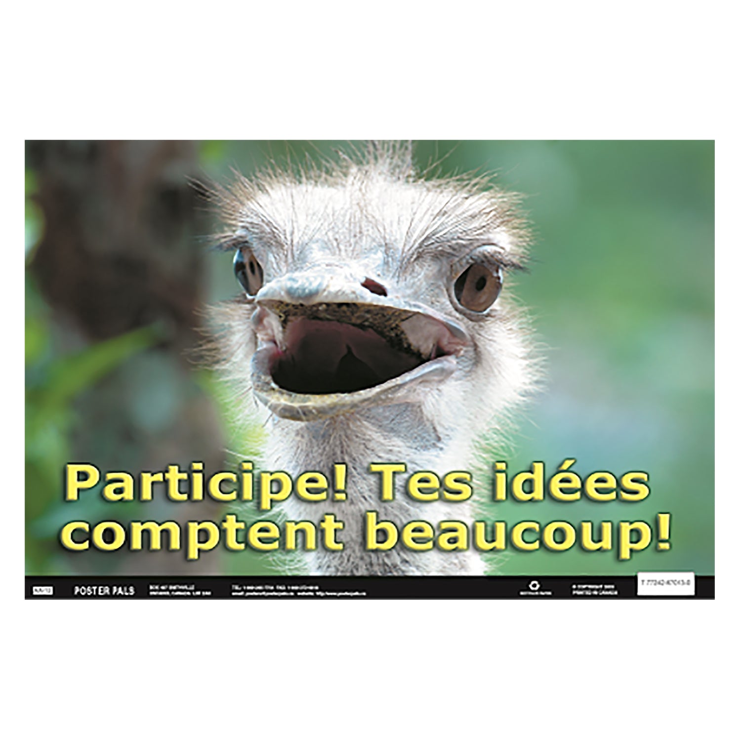 French Fun Photo Posters Set #10, 12" x 18", Set of 4