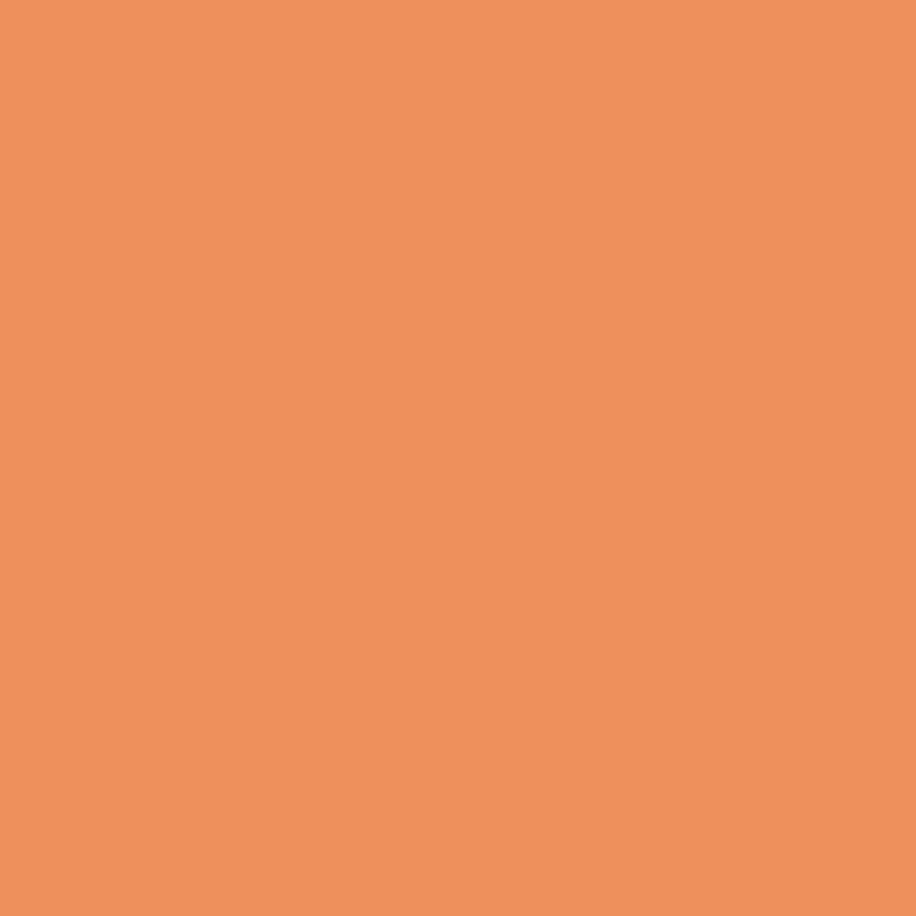 Acrylic Paint Matte, 8oz., Pumpkin Orange