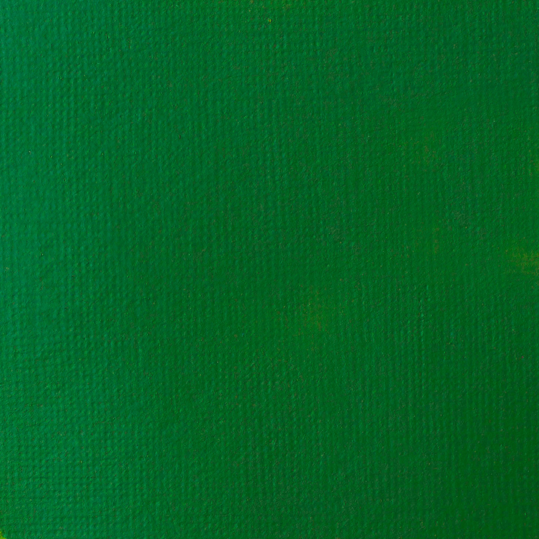 LQ BASICS Acrylic Fluid 118ml Bottle -  Hookers Green Permanent Hue
