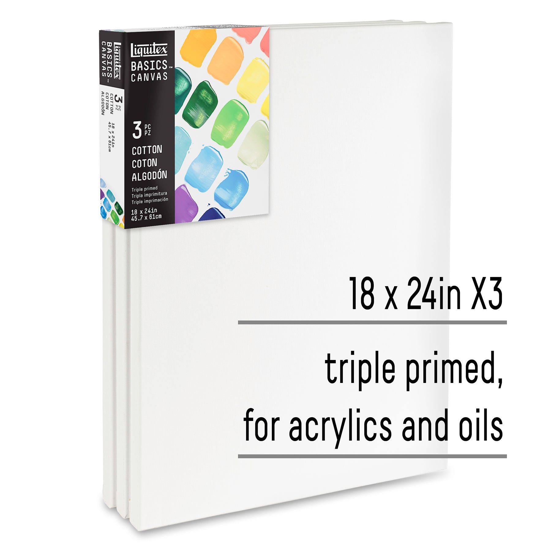 BASICS Canvas 3 pack - 18" x 24"
