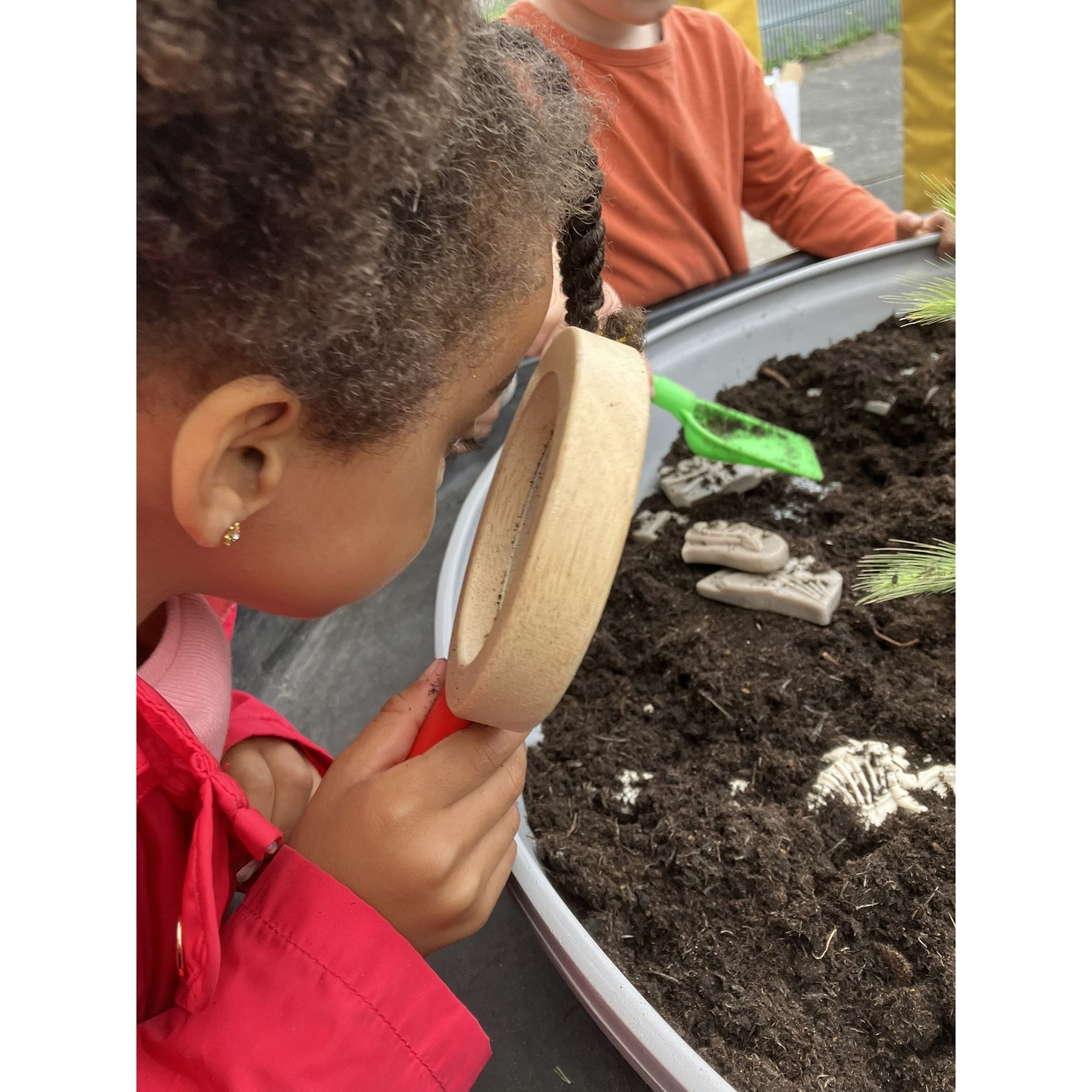 Dig and Discover - Triceratops & Spinosaurus