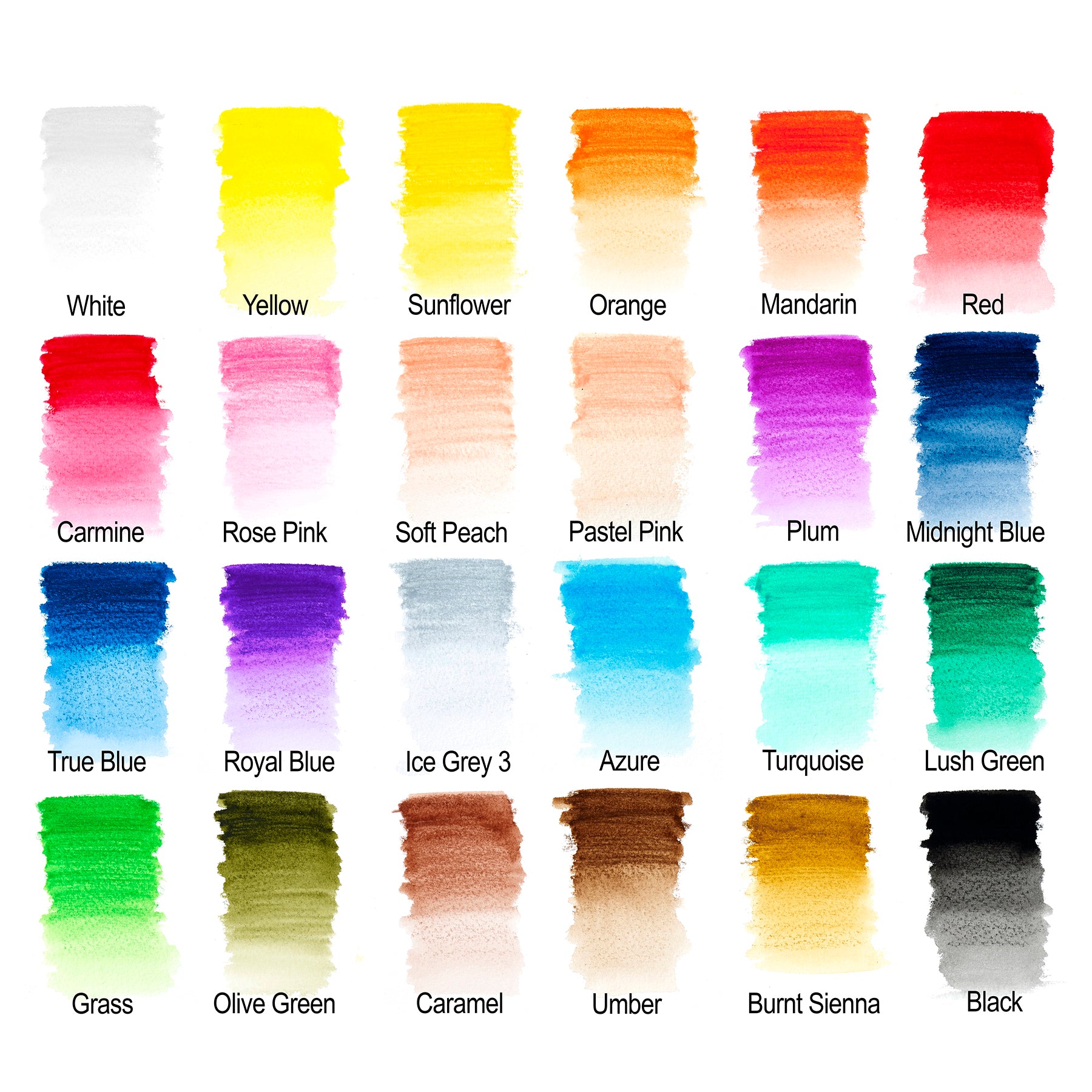 WN Studio Collection Watercolour Pencil Tin - 24pc