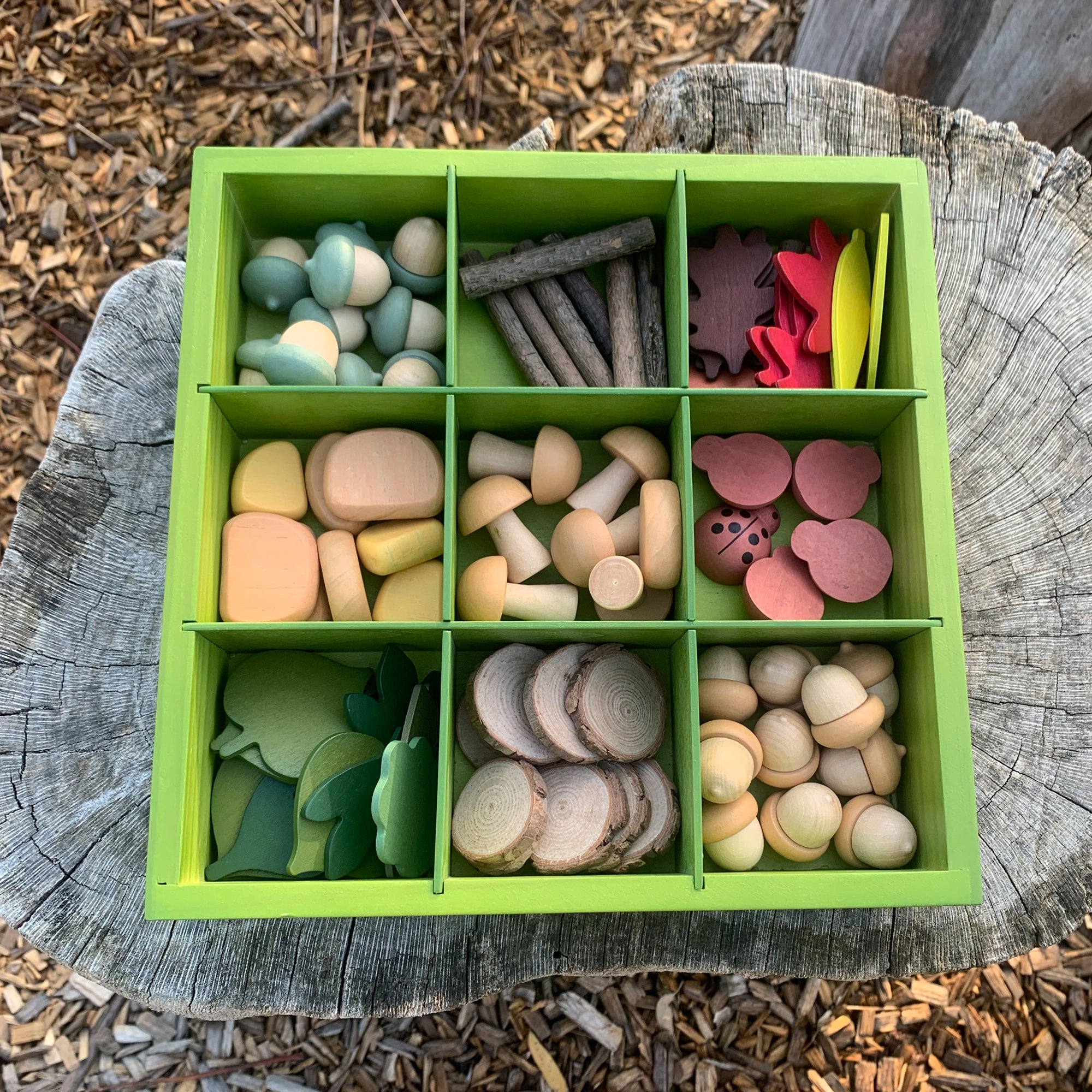 Nature's Sorting Box
