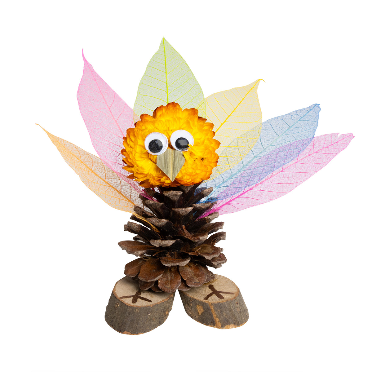 NATURALS WOODLAND WONDERS SET