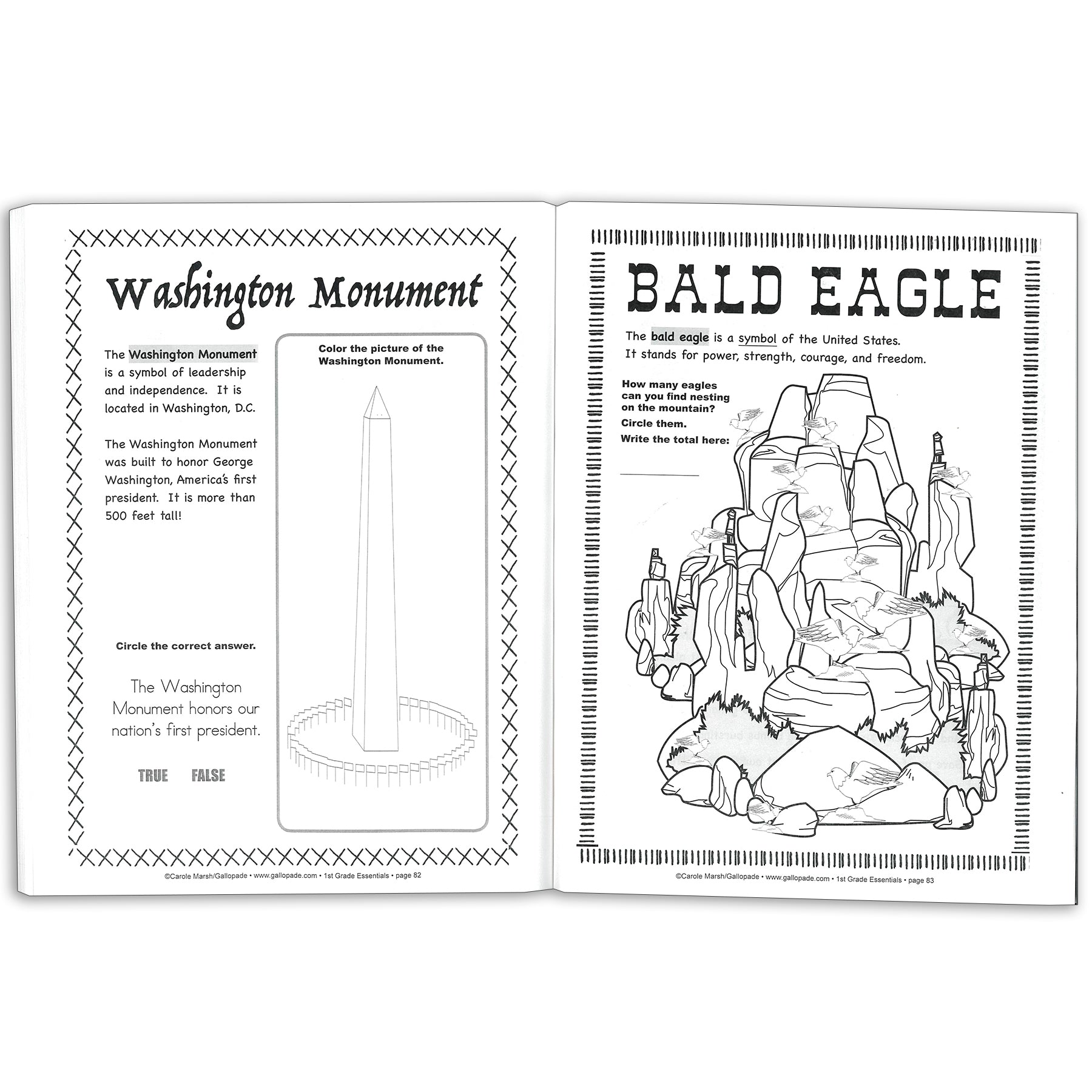 First Grade Essentials for Social Studies Reproducible Book
