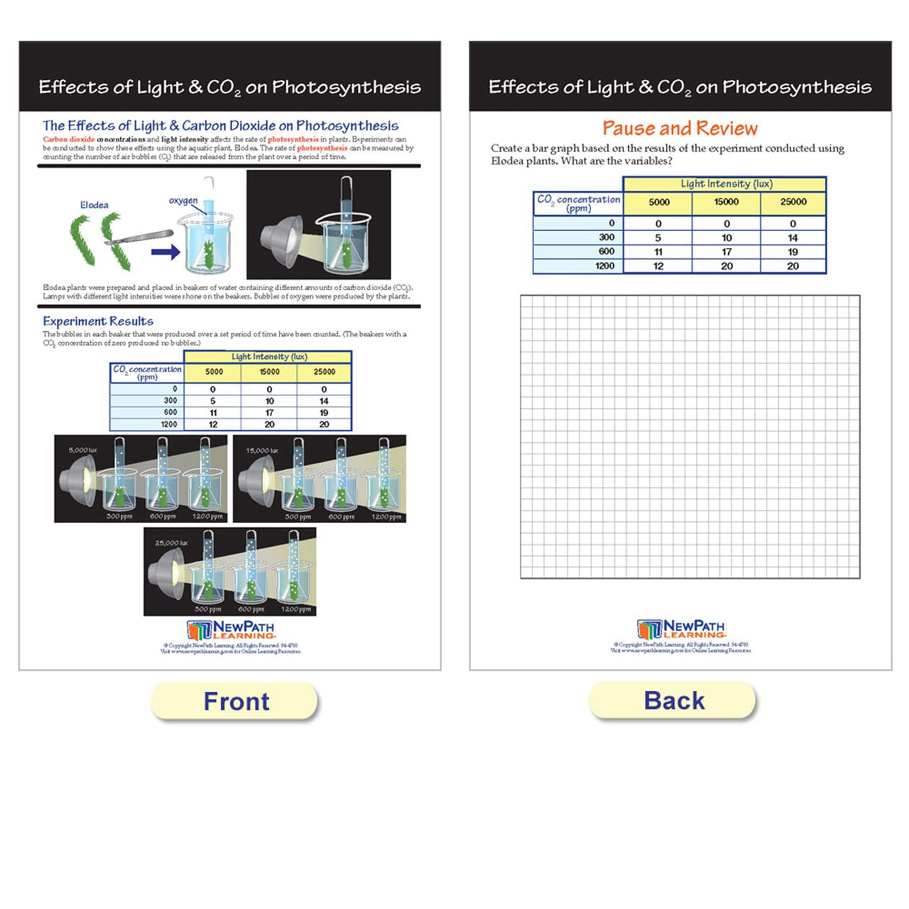 Photosynthesis Bulletin Board Chart Set, Grades 3-5