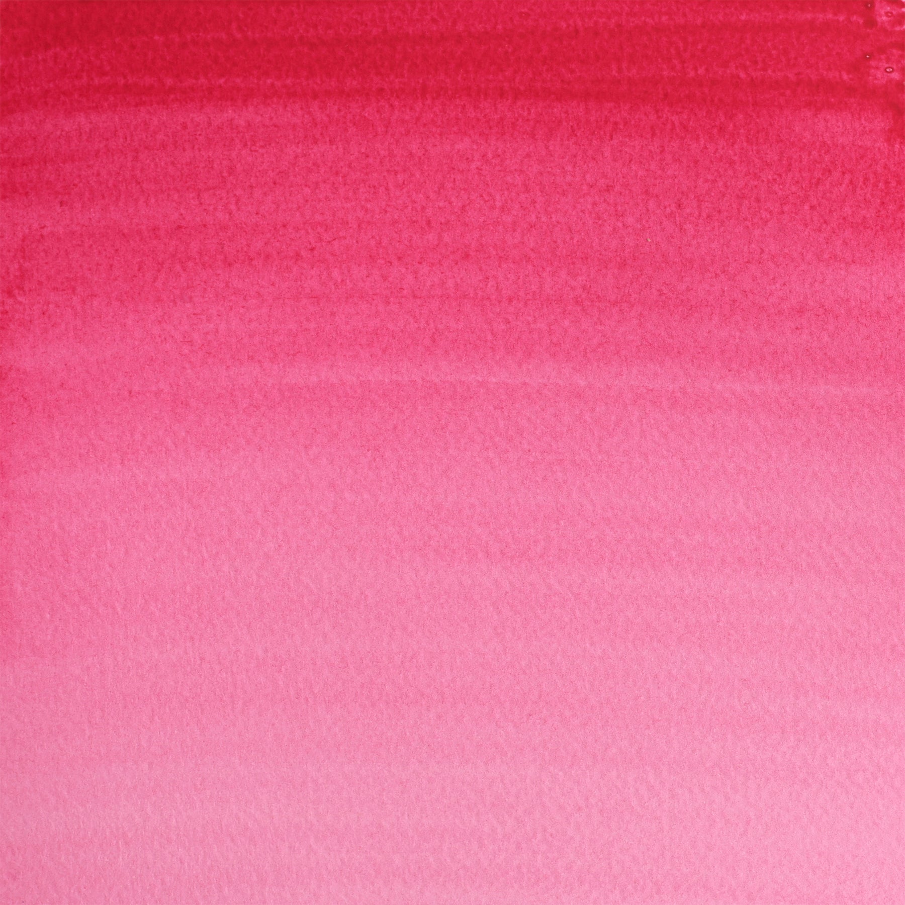 CWC 21ml tube - Permanent Rose