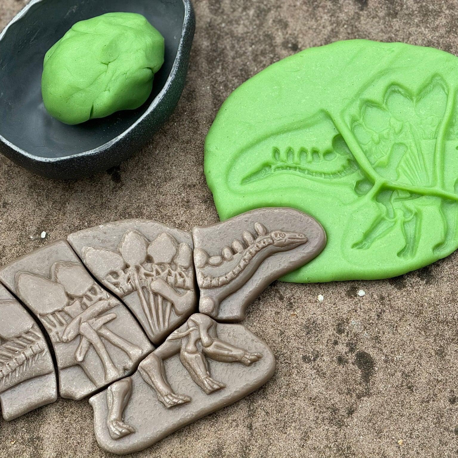 Dig and Discover - Pliosaur & Stegosaurus