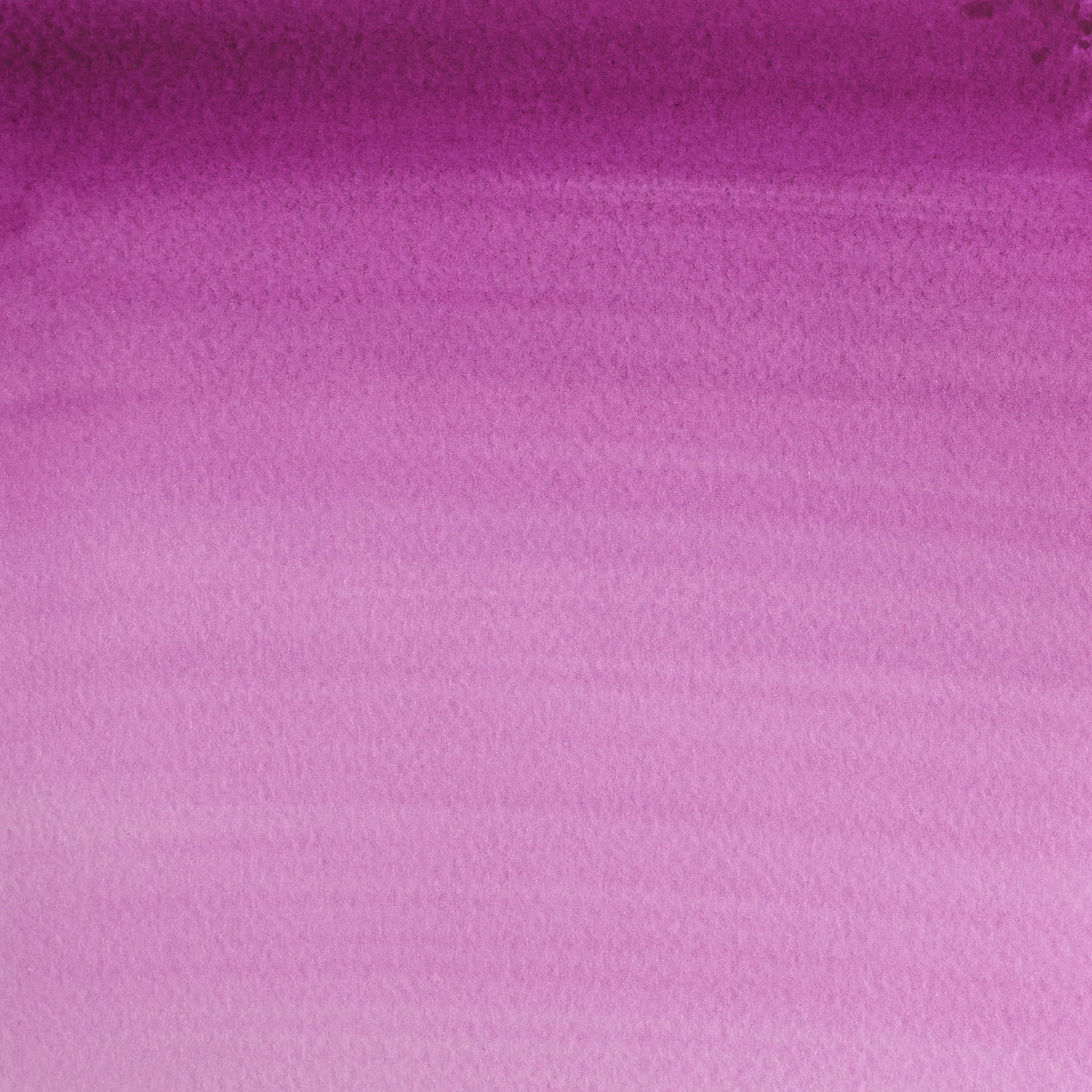 CWC Half Pan - Mauve