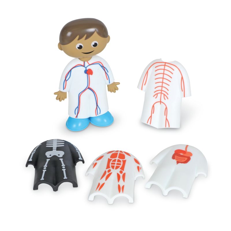 Skill Builders! Science - Human Body