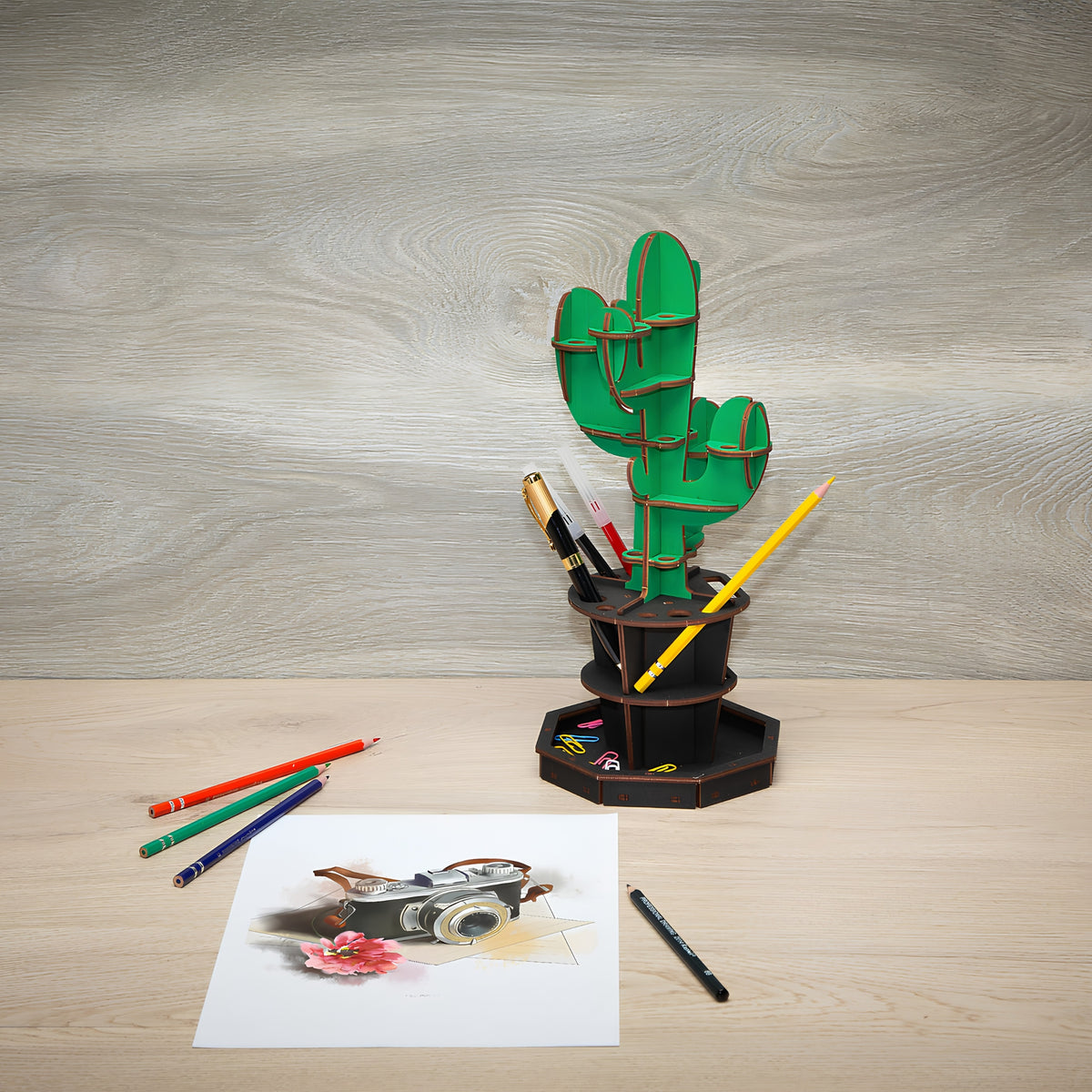 CACTUS ORGANIZER GREEN