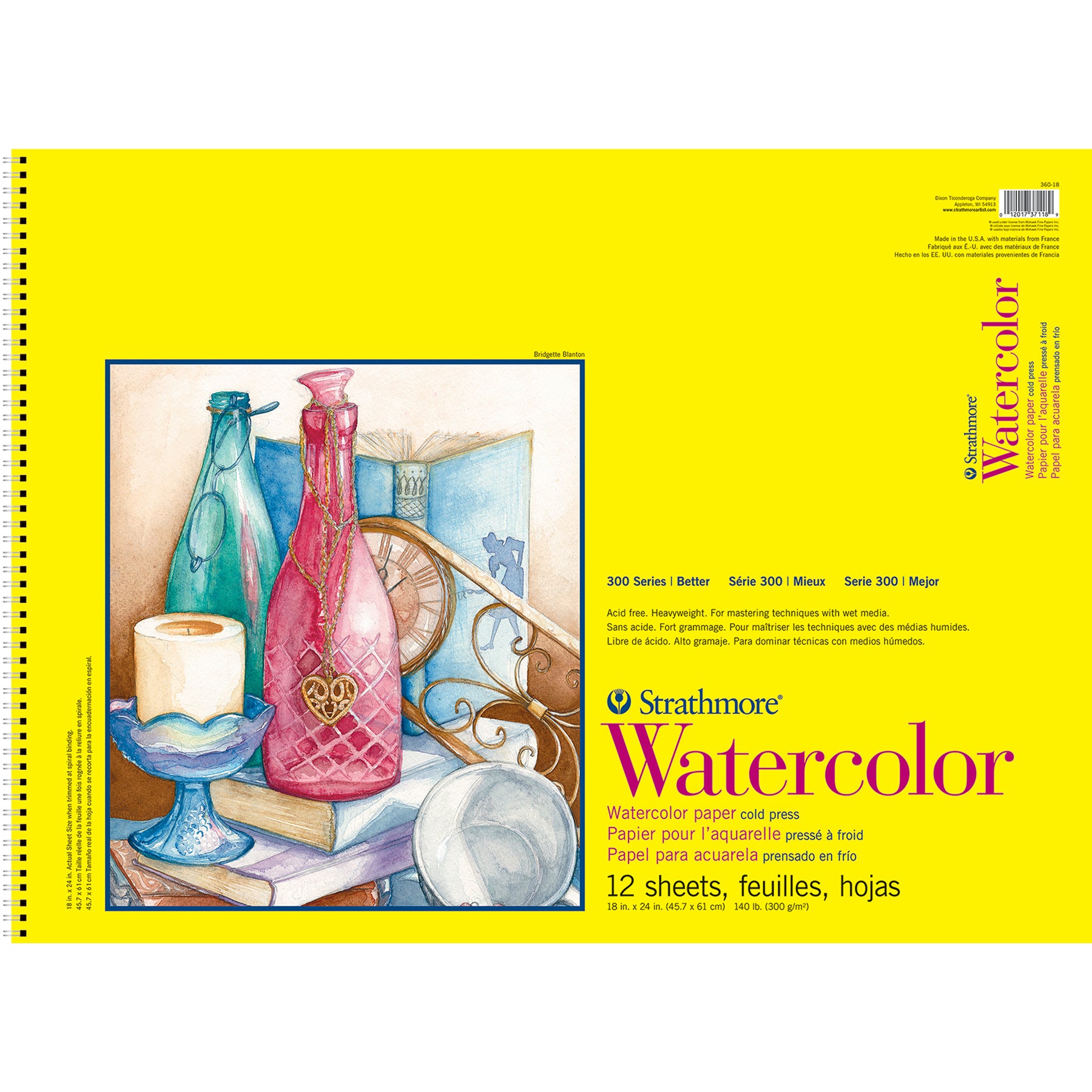 300 Series Watercolor Pad, Cold Pressed, Top Wire Binding, 12 Sheet, 18x24 inch, 1 Count