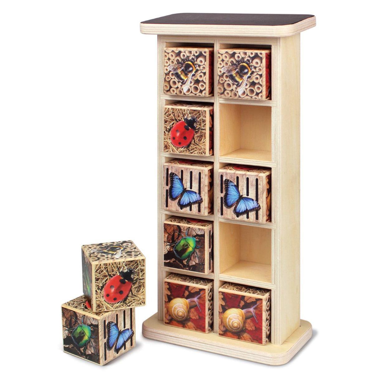 BUG HOTEL 10-FRAME