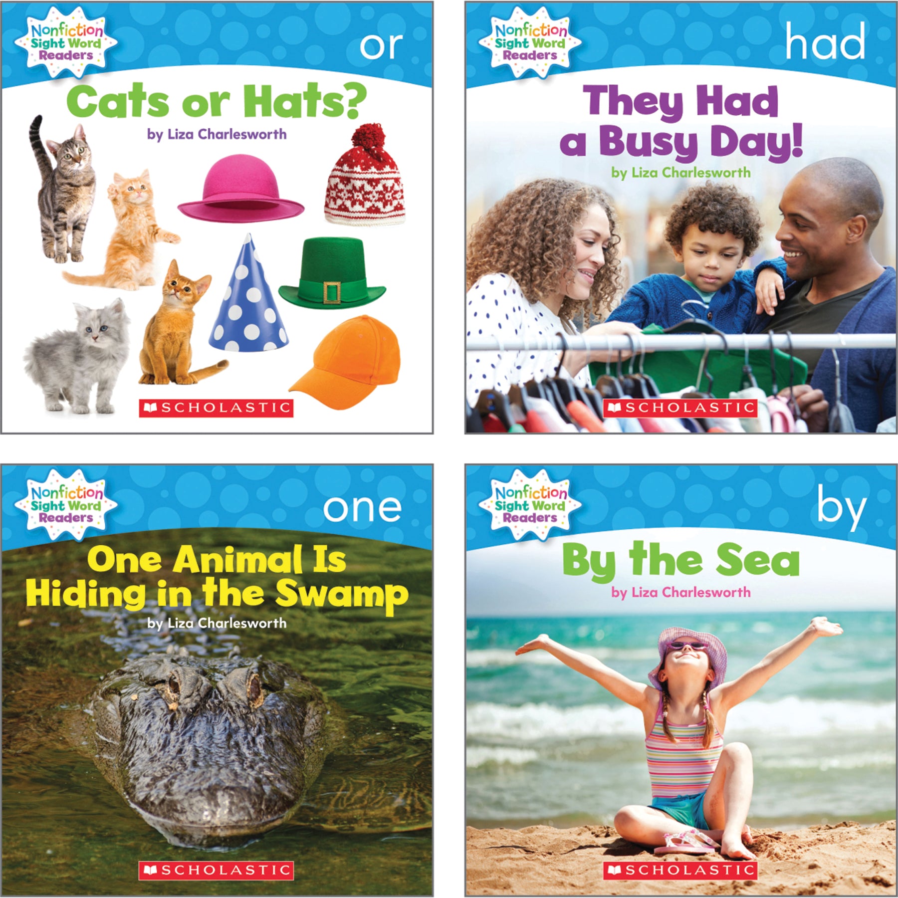 Nonfiction Sight Word Readers Classroom Tub, Level B, 6 Copies of 25 Titles
