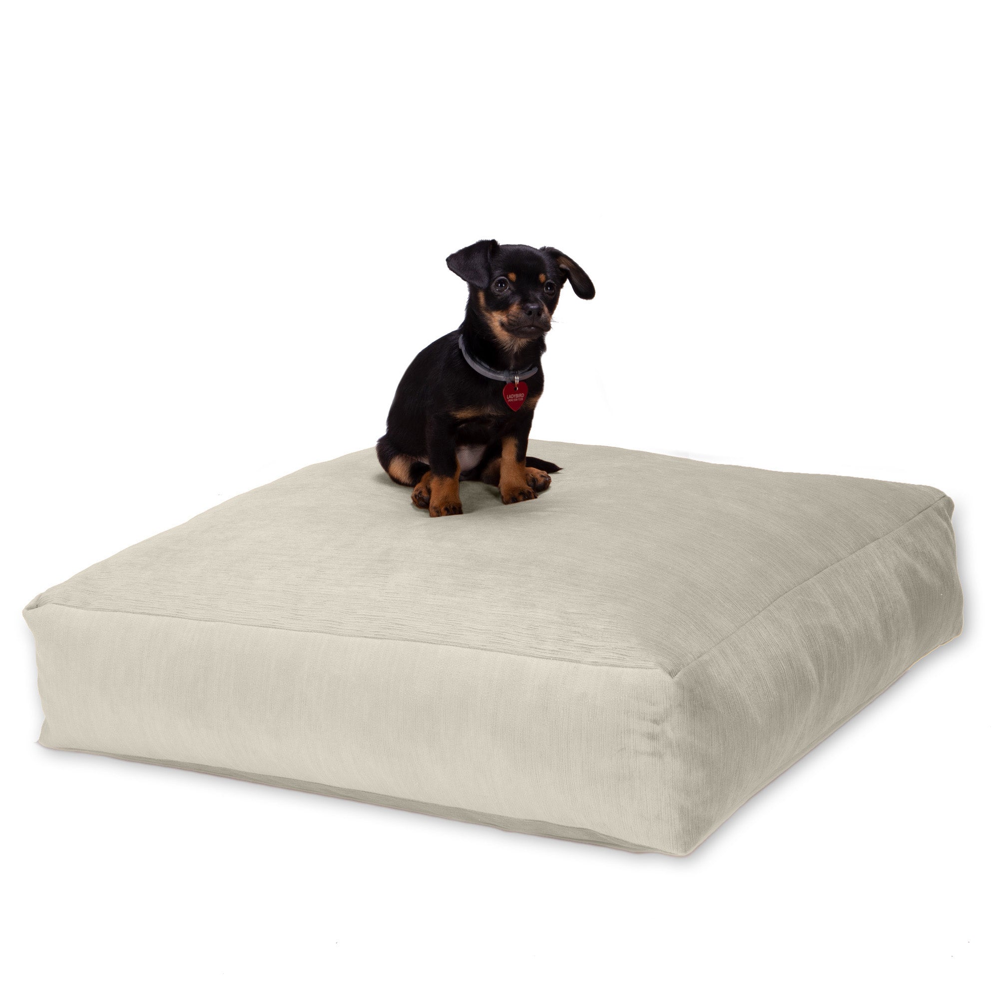 Jaxx Brio Large Décor Floor Pillow/Meditation Yoga Cushion, Plush Microvelvet, Ivory