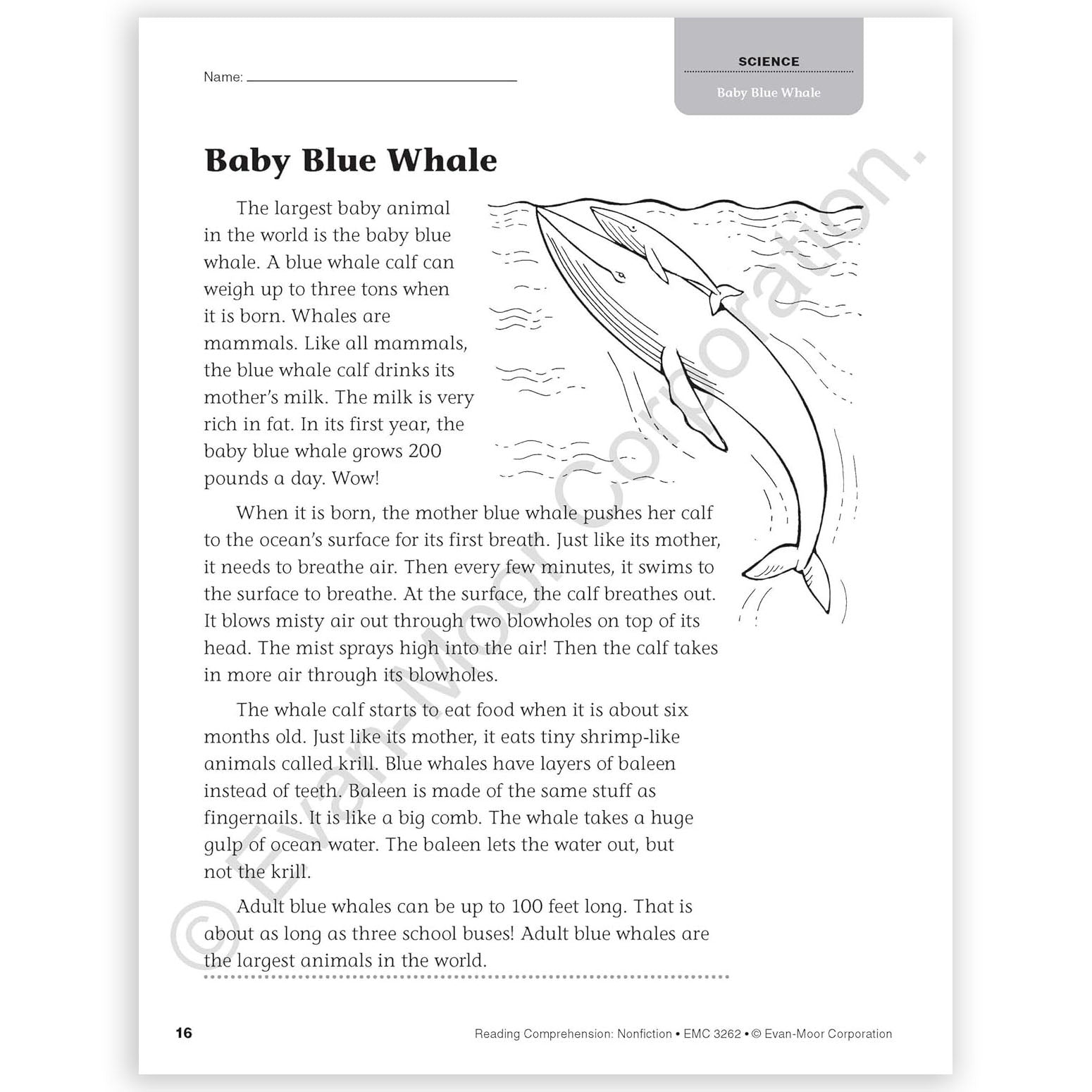 Reading Comprehension: Nonfiction, Grade 2