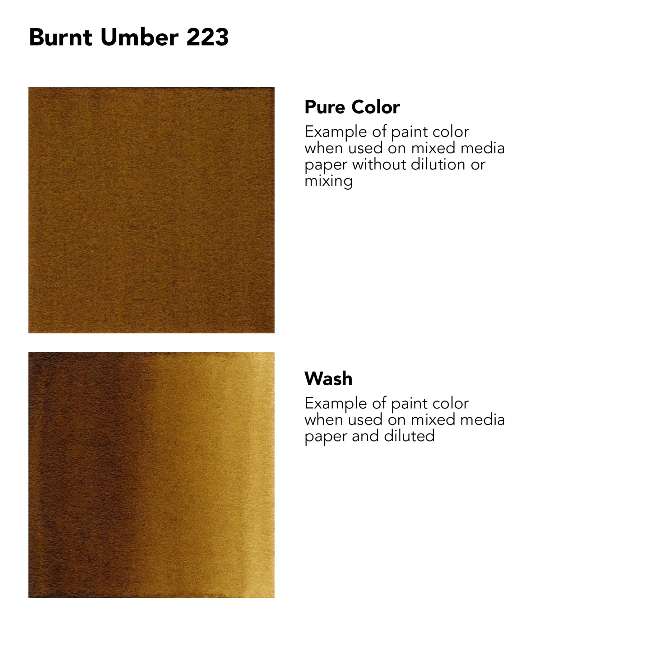 FW Acrylic Ink, Burnt Umber, 29.5ml, 1 Count
