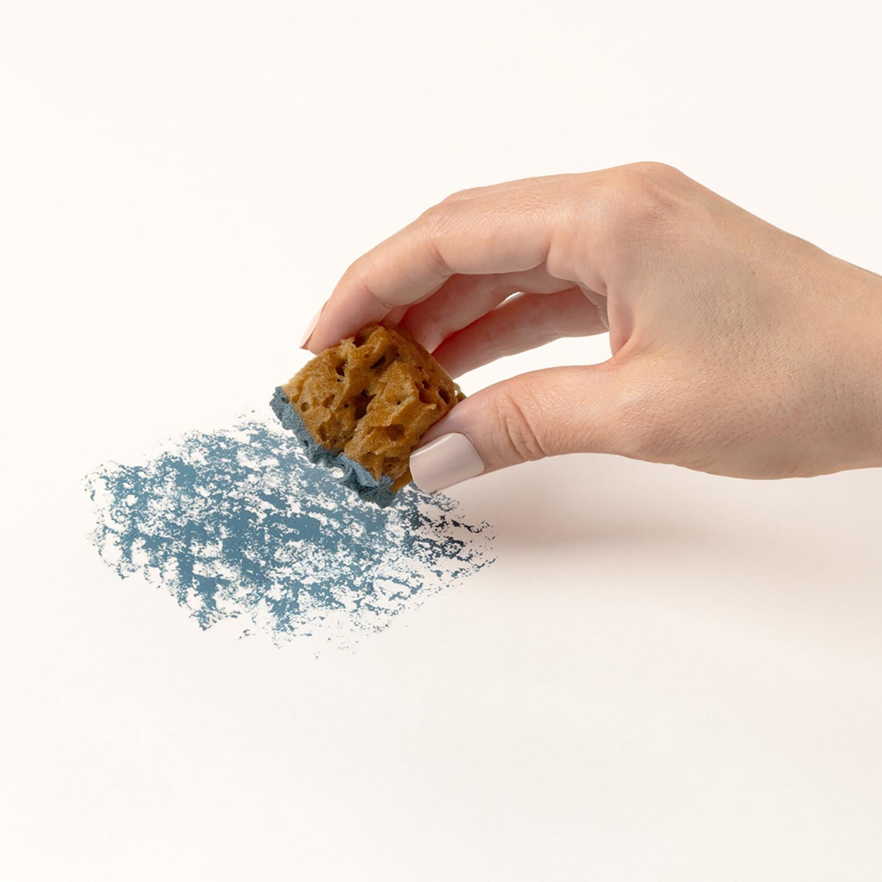 Synthetic Sponge Value Pack, Pack of 5