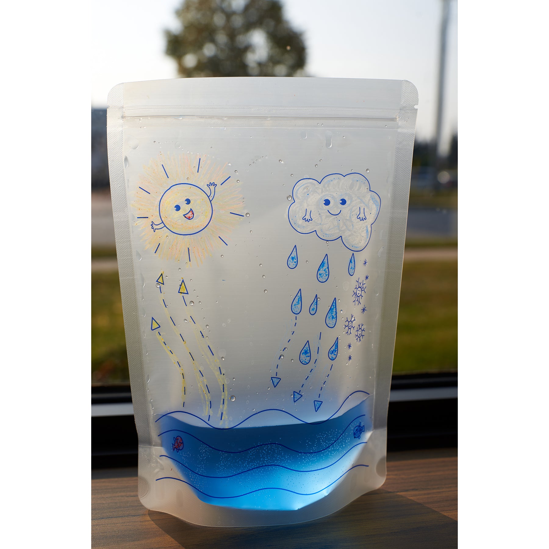 Water Cycle Experiment Kit, 24 Model Bags