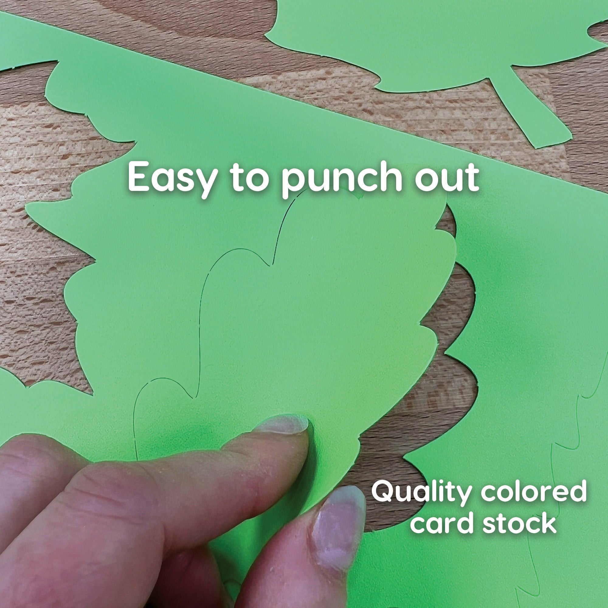 Punch Out Paper Cutouts, Spring Shapes, Leaves, Butterflies & Flowers, 240 Pieces