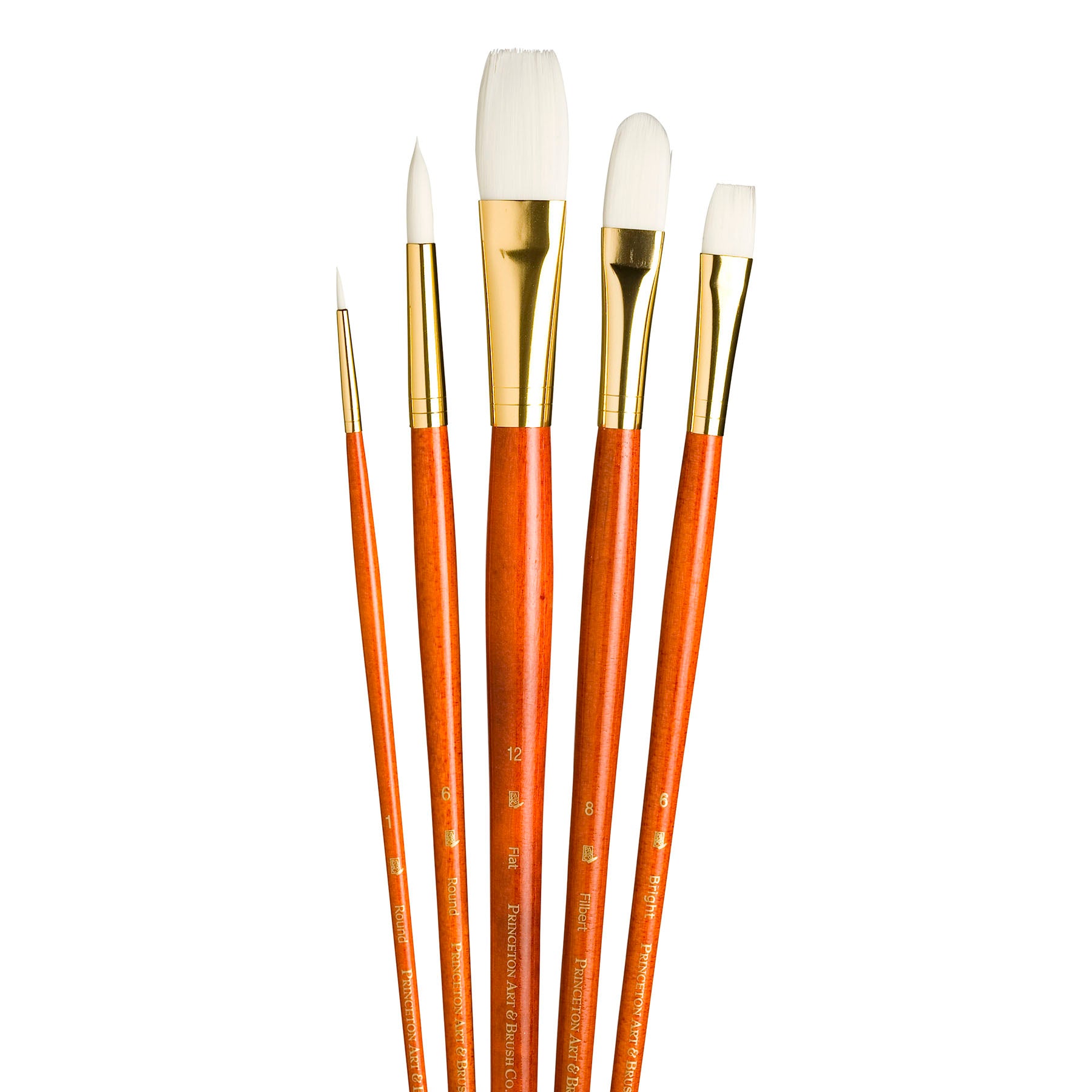 RealValue Brush Set, White Taklon Bristles, Long Handle Mixed Media Paintbrush, Orange, 5 Pieces