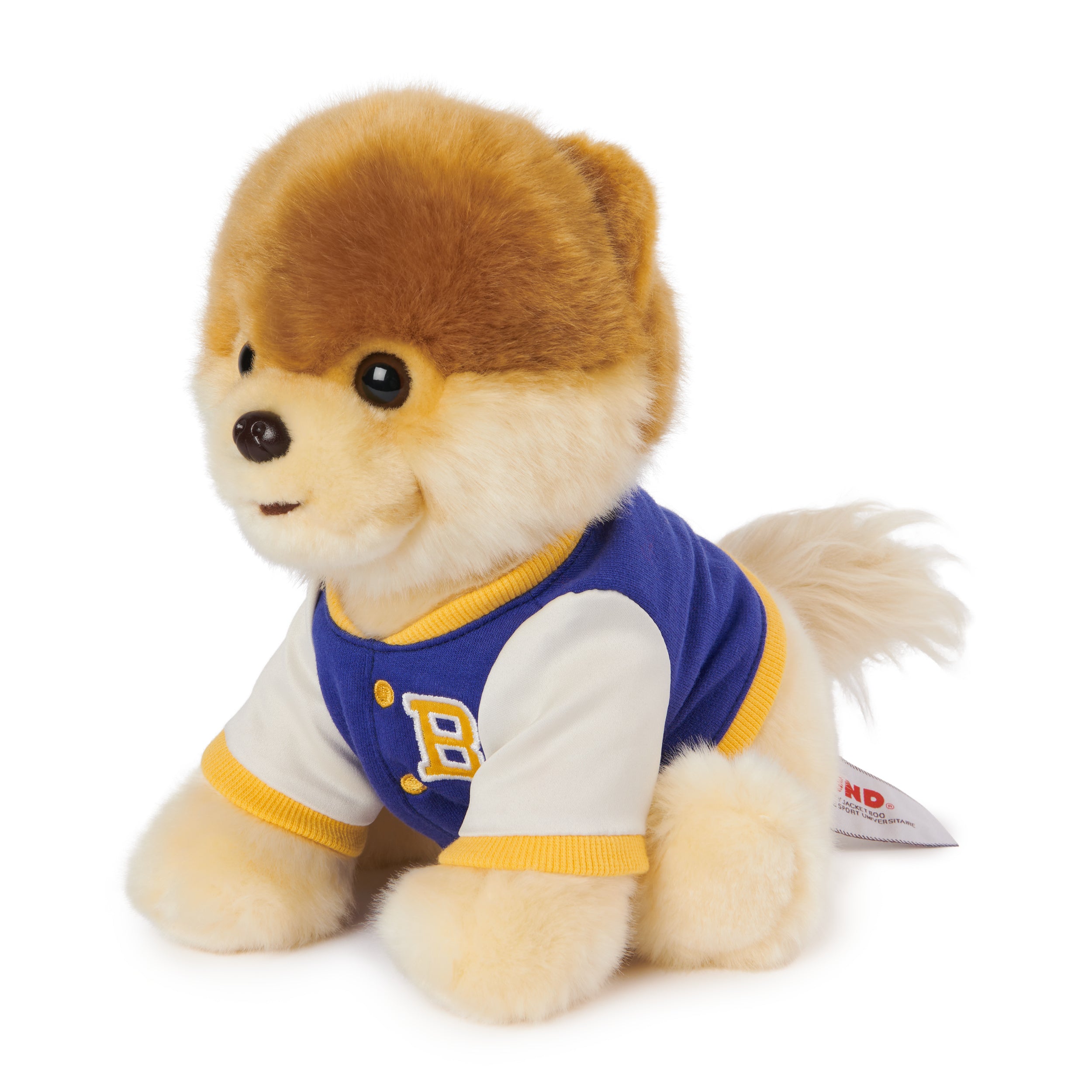 GUND Boo, The World’s Cutest Dog Varsity Jacket Plush Pomeranian Stuffed Animal for Ages 1 and Up, 9”