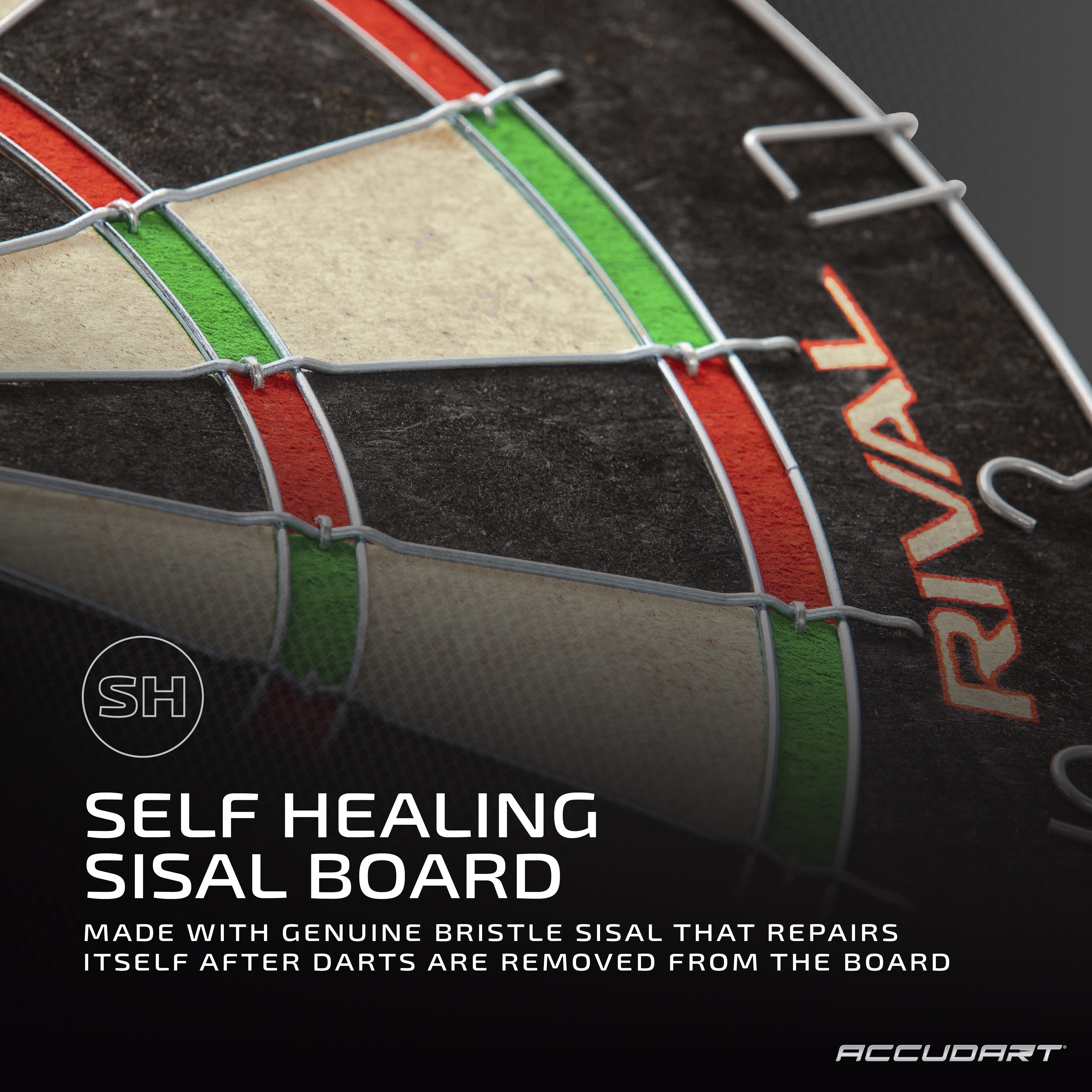Accudart Rival Bristle Dartboard