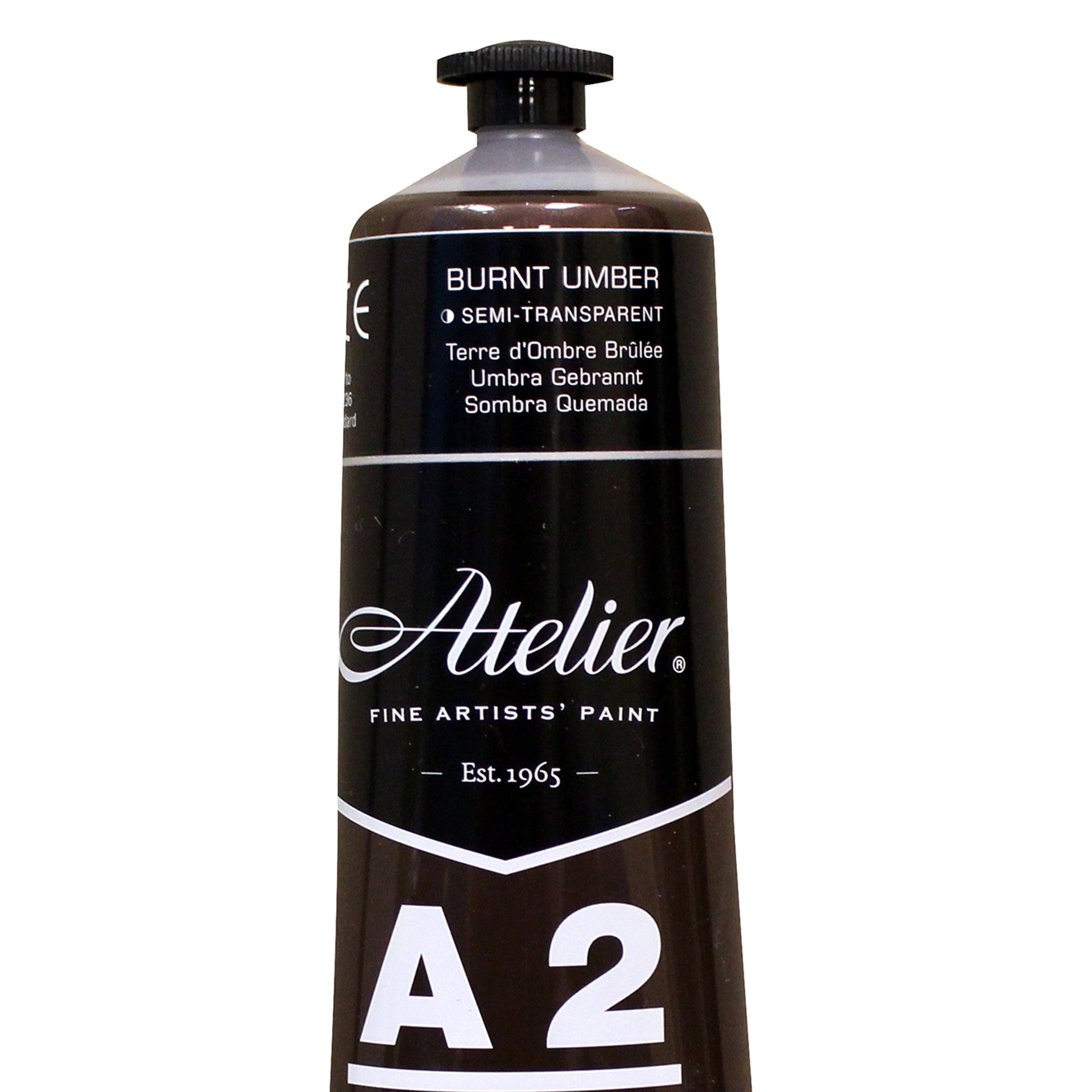A2 Heavy Body Lightfast Artist Acrylic, 4 oz., Burnt Umber