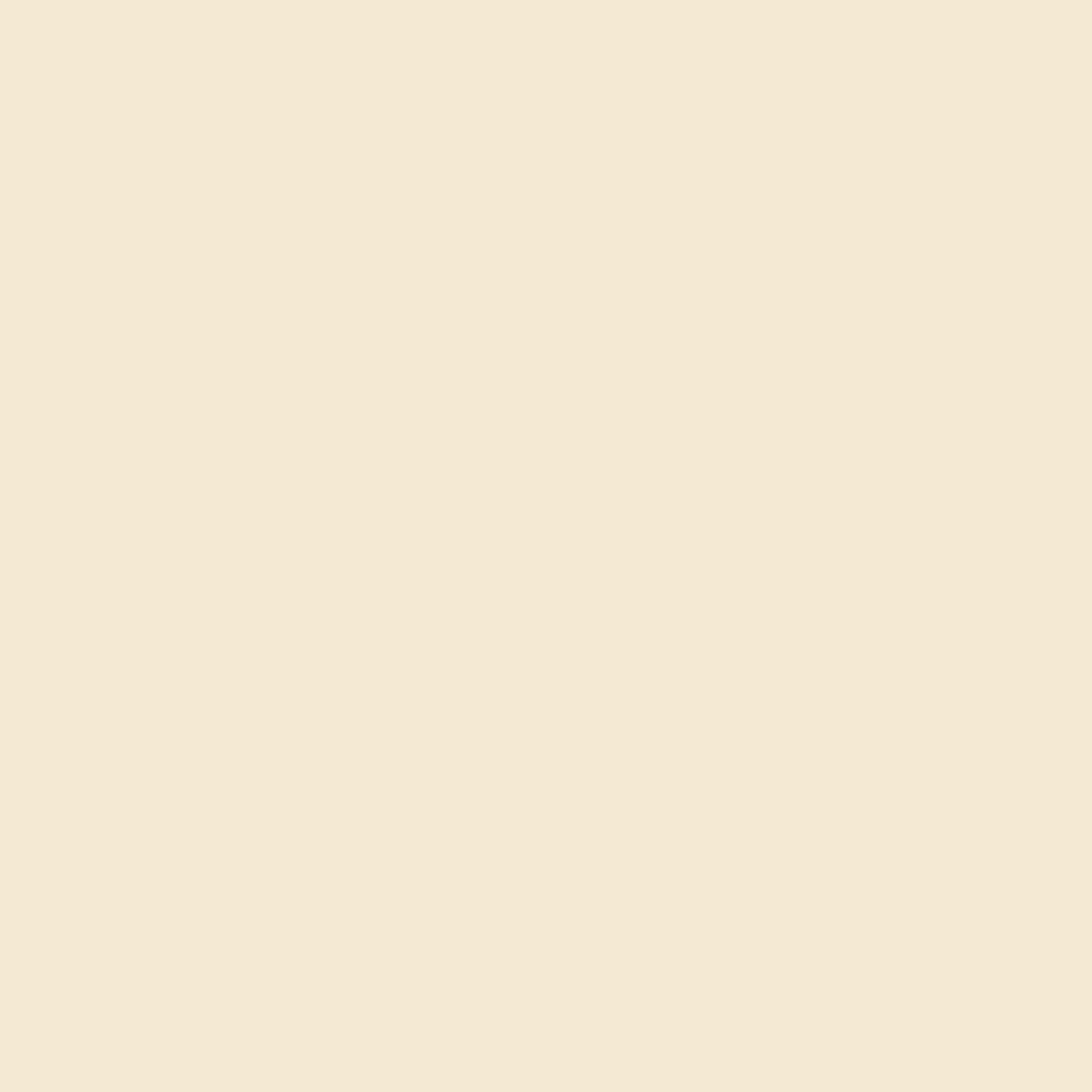 Acrylic Paint Matte, 8oz., Vintage White