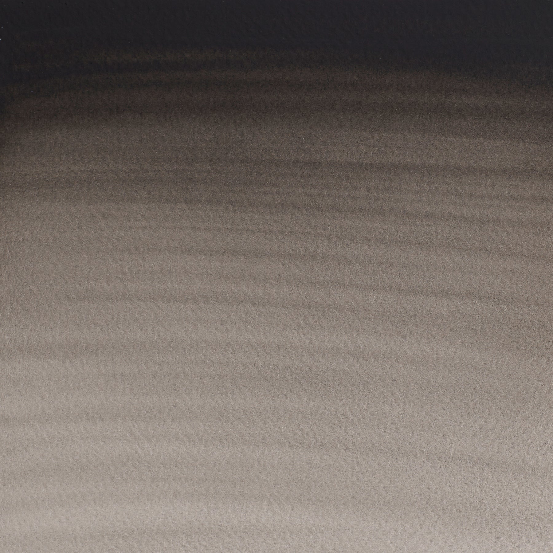 CWC Half Pan - Ivory Black