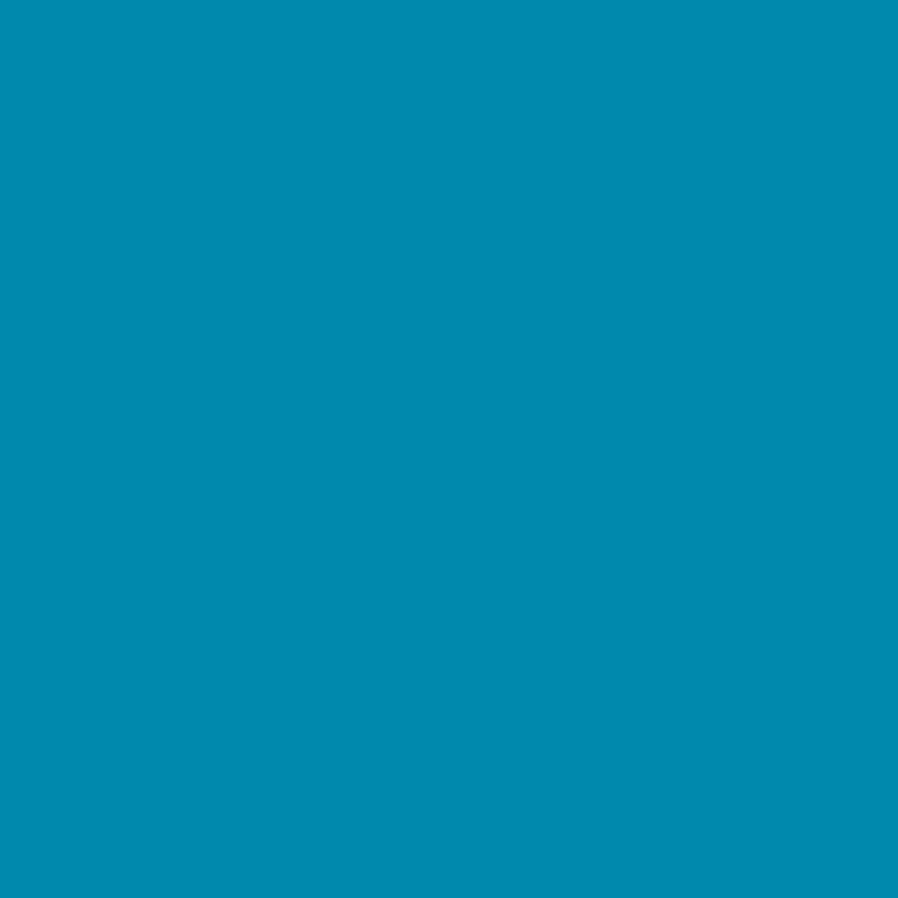 Acrylic Paint Matte, 8oz., Turquoise