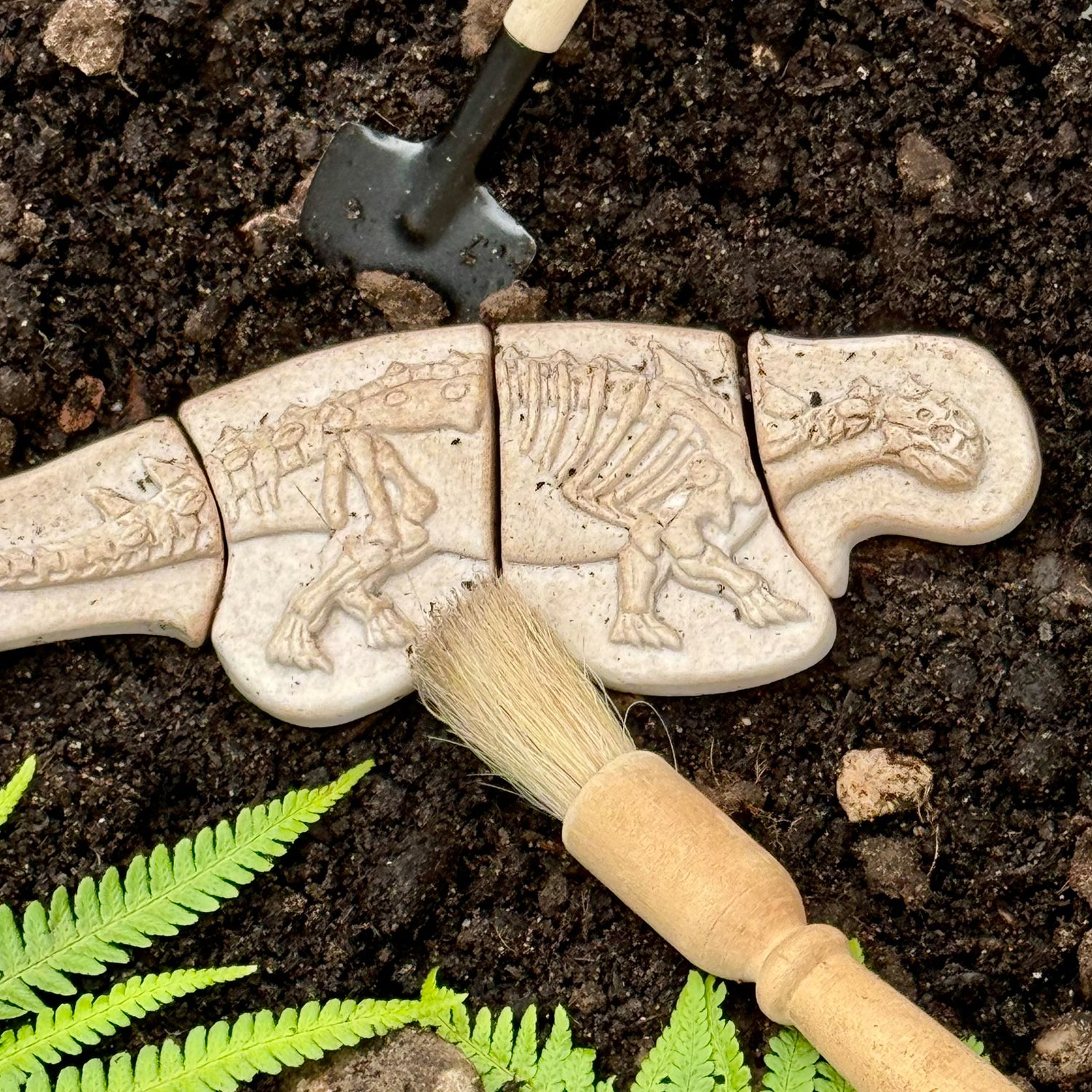 Dig and Discover - Ankylosaurus & Tyrannosaurus Rex