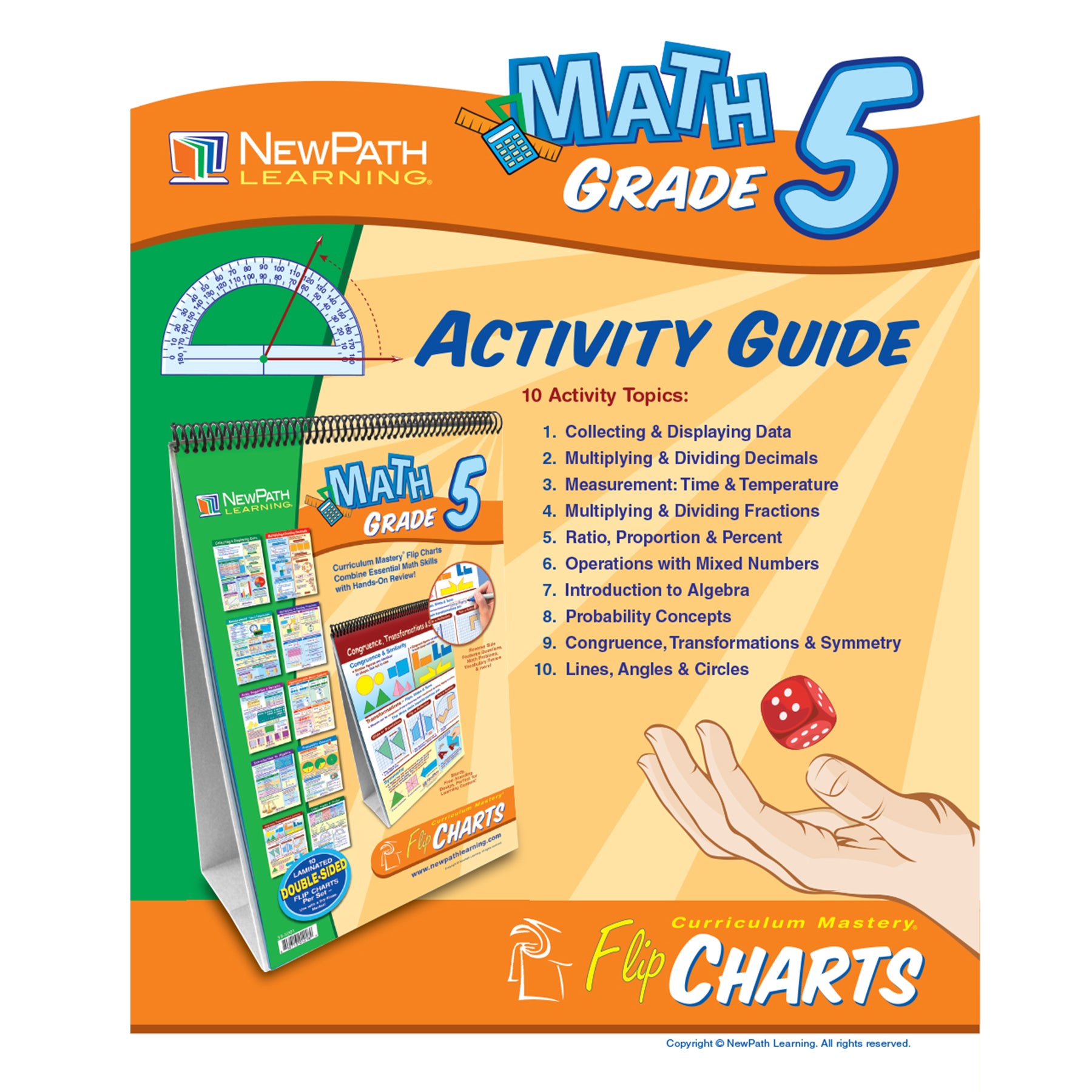 Math Skills Curriculum Mastery® Flip Chart, Grade 5