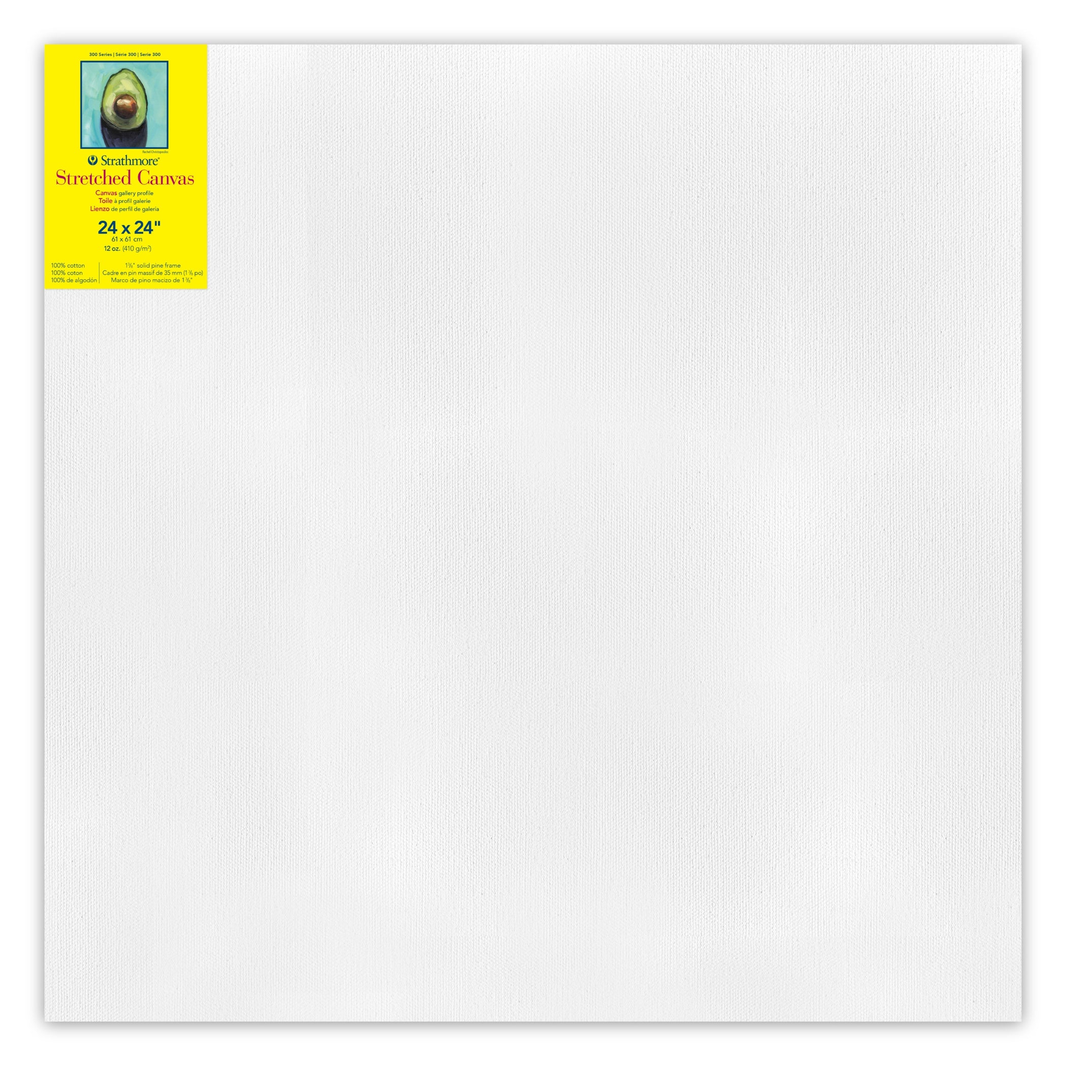 300 Series Gallery Stretched Canvas, 24x24 inch