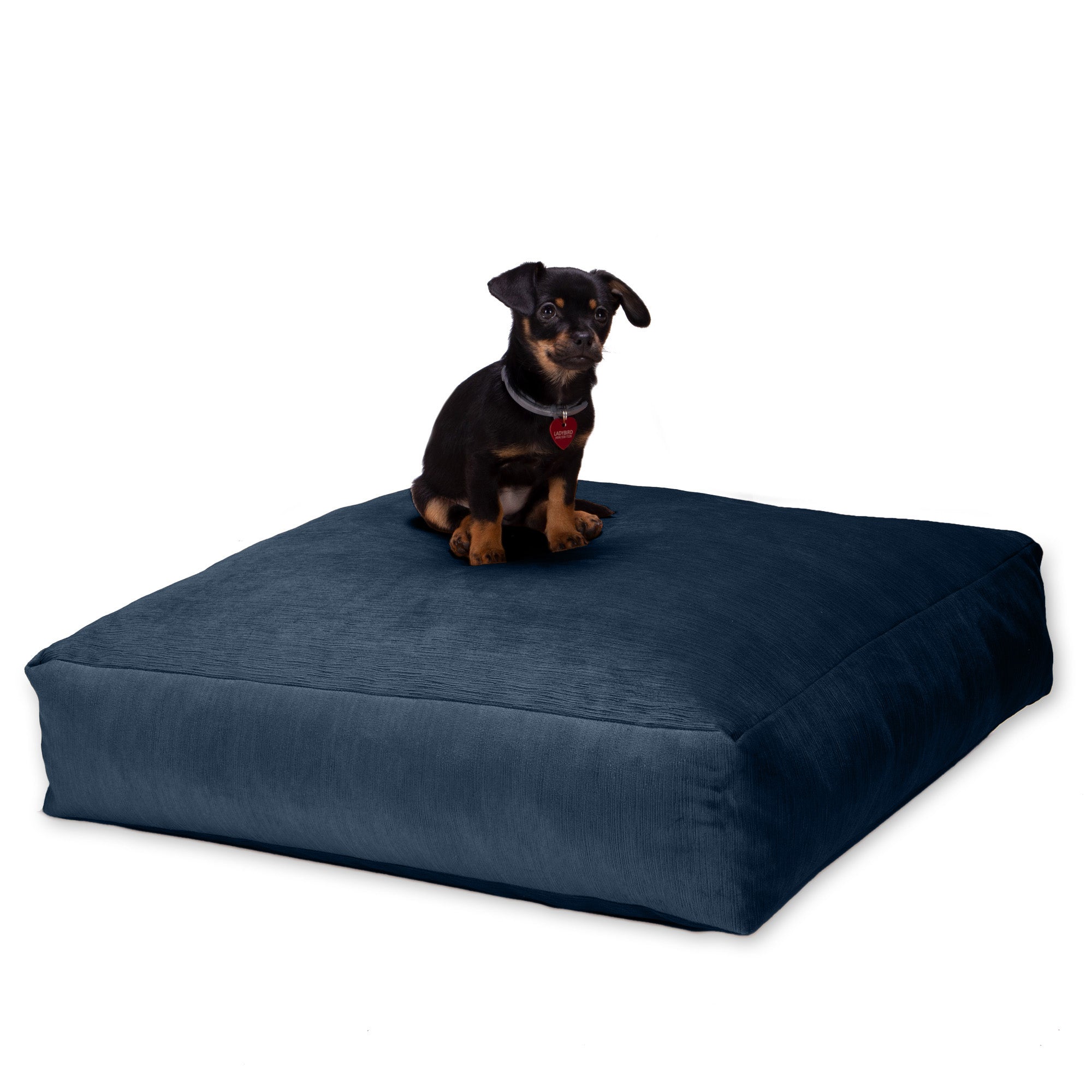 Jaxx Brio Large Décor Floor Pillow/Meditation Yoga Cushion, Plush Microvelvet, Indigo