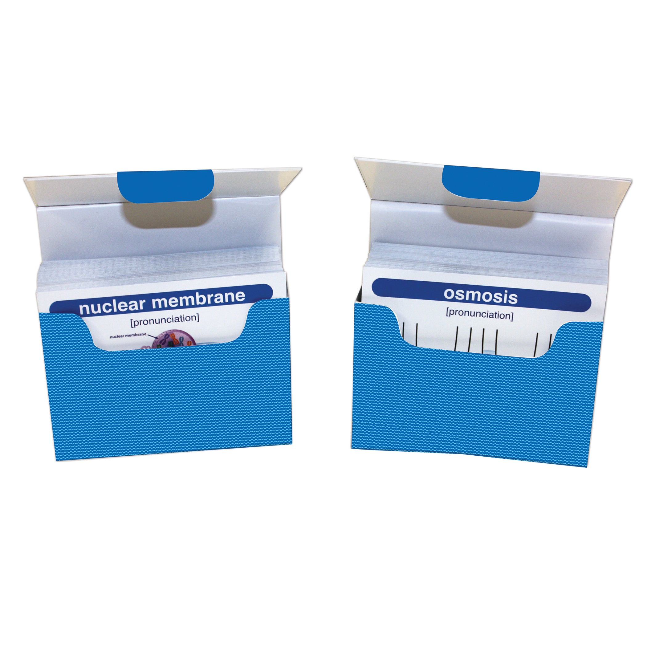 Life Science Vocabulary Builder Flash Card Set, Middle School