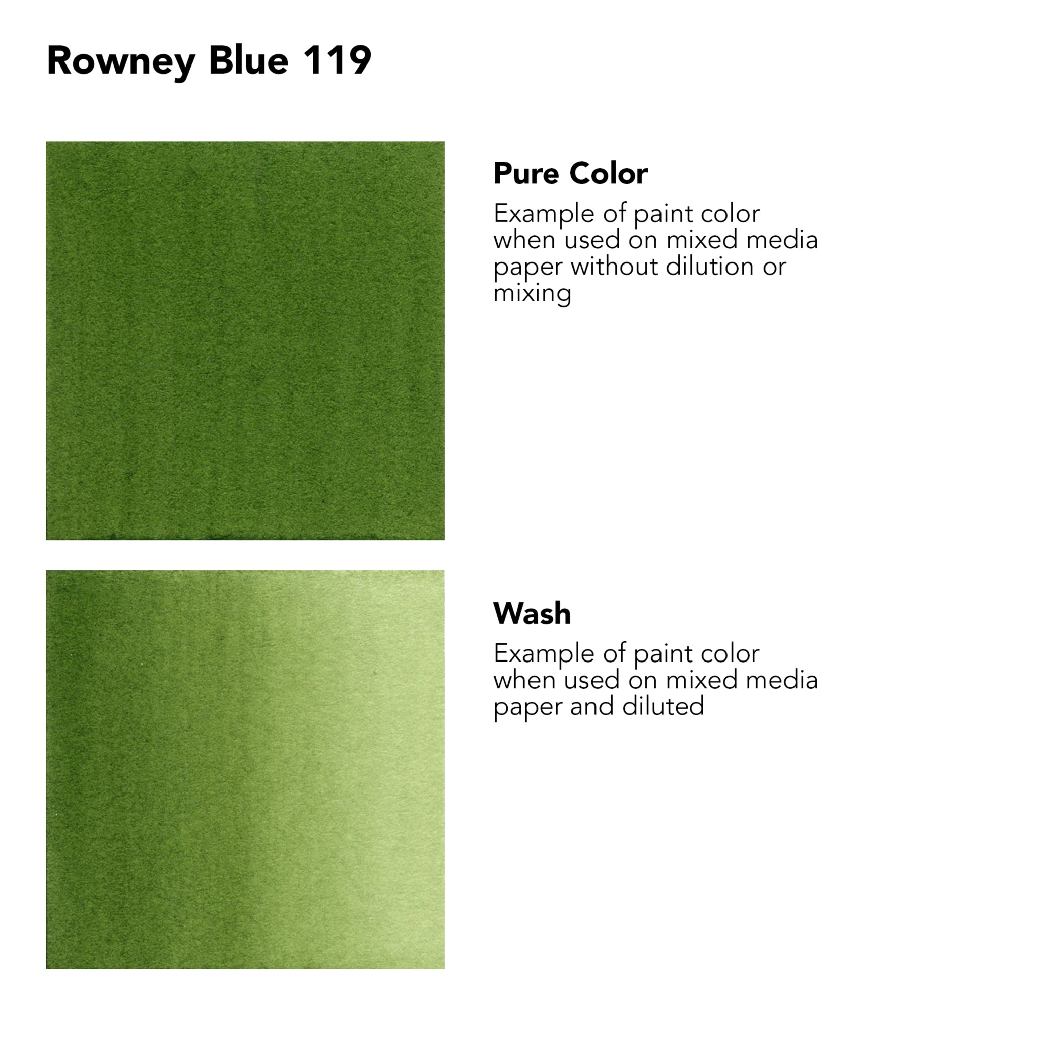 FW Acrylic Ink, Sap Green, 29.5ml, 1 Count